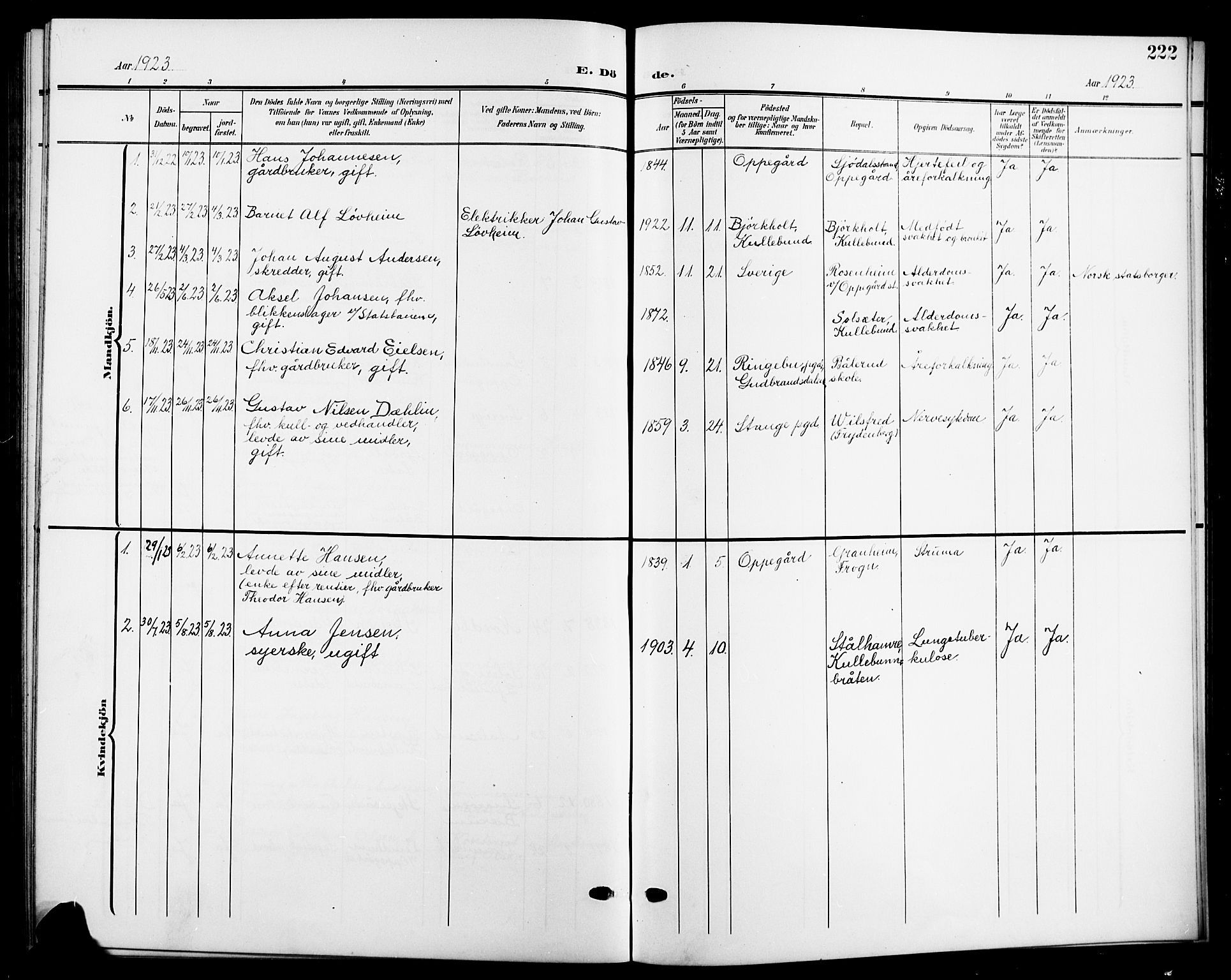 Nesodden prestekontor Kirkebøker, SAO/A-10013/G/Gb/L0001: Parish register (copy) no. II 1, 1905-1924, p. 222