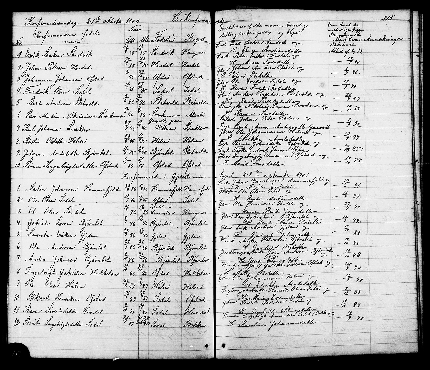 Ministerialprotokoller, klokkerbøker og fødselsregistre - Sør-Trøndelag, SAT/A-1456/665/L0777: Parish register (copy) no. 665C02, 1867-1915, p. 215