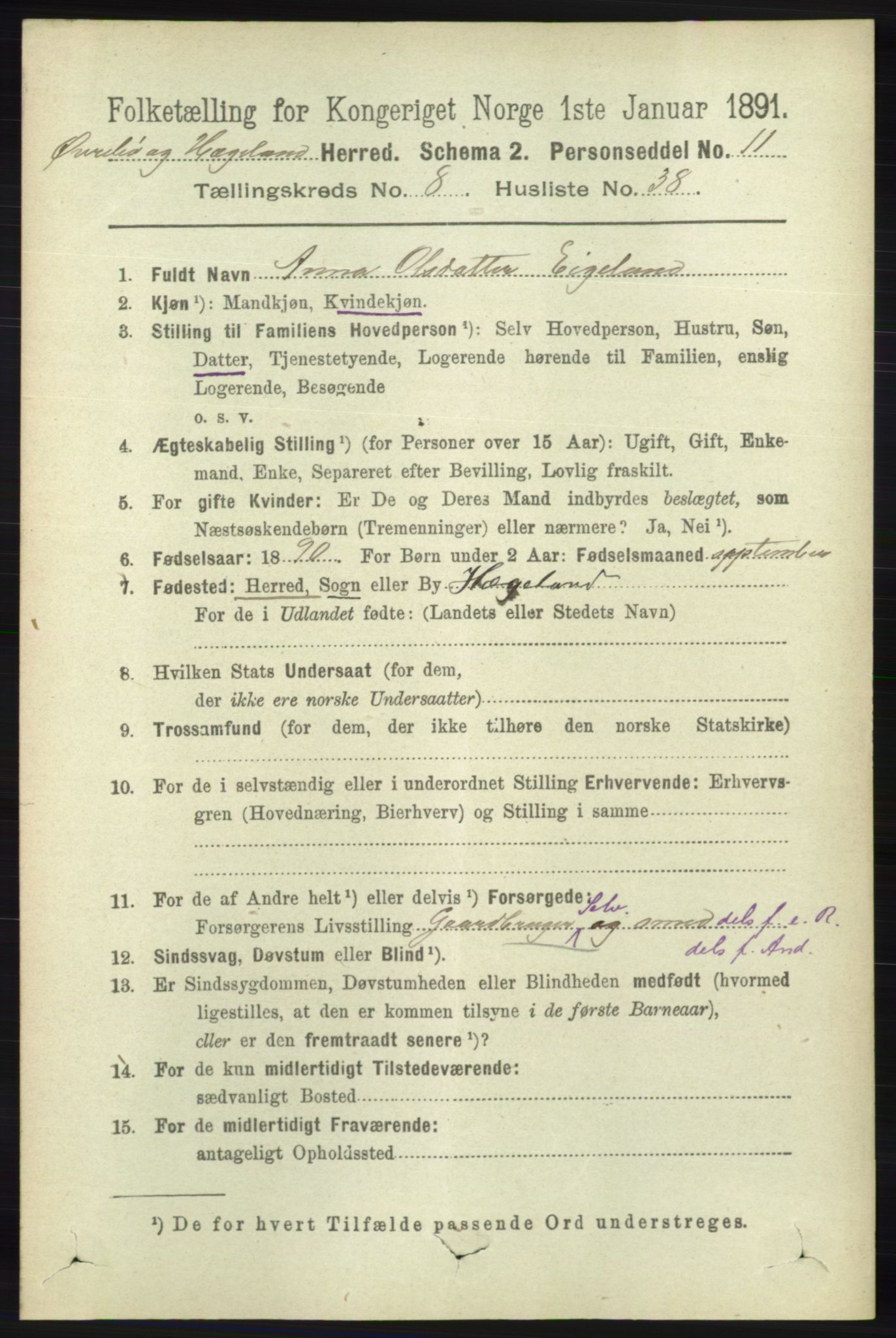 RA, 1891 census for 1016 Øvrebø og Hægeland, 1891, p. 1691