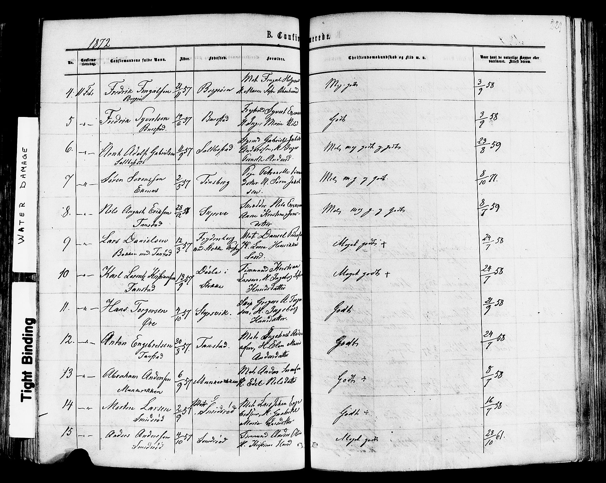 Nøtterøy kirkebøker, SAKO/A-354/F/Fa/L0007: Parish register (official) no. I 7, 1865-1877, p. 229