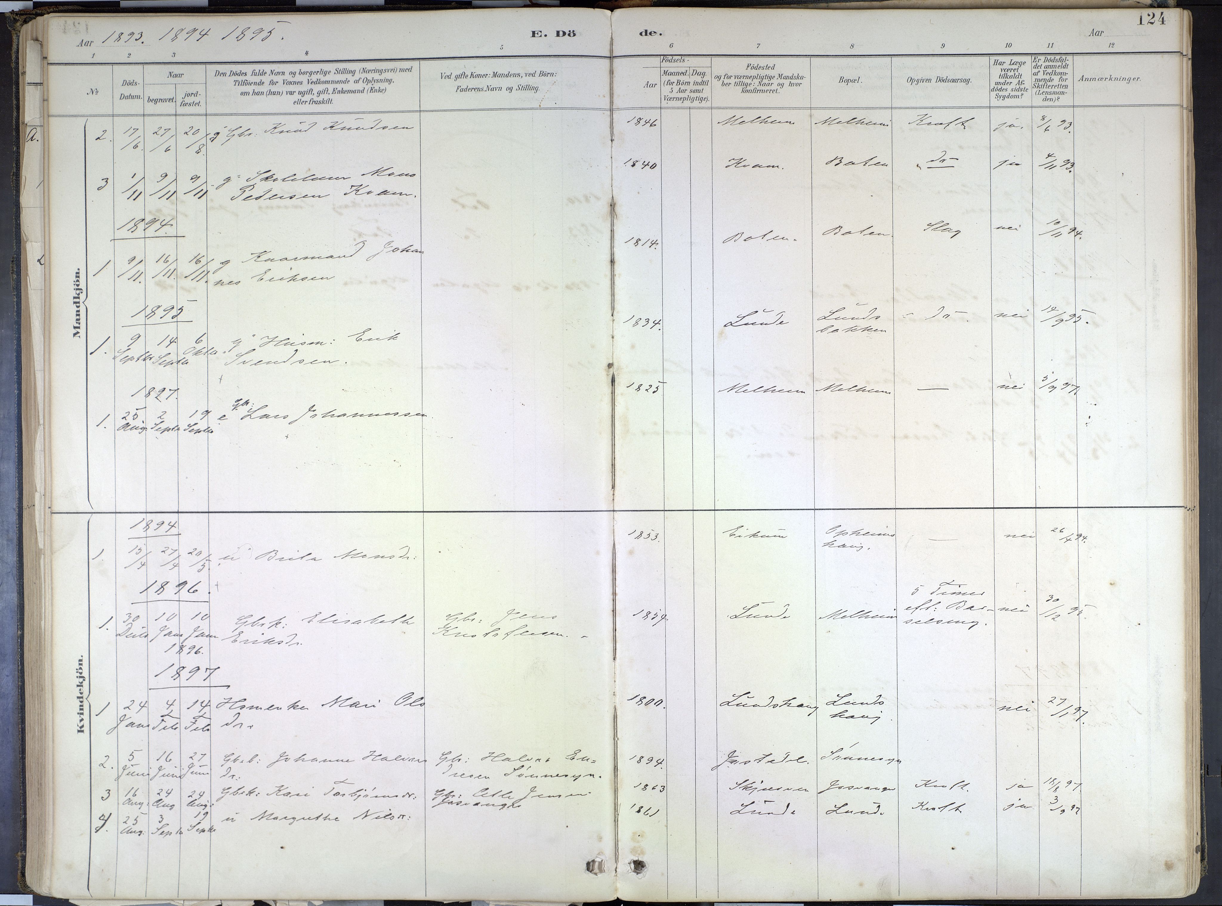 Hafslo sokneprestembete, AV/SAB-A-80301/H/Haa/Haad/L0001: Parish register (official) no. D 1, 1886-1934, p. 124