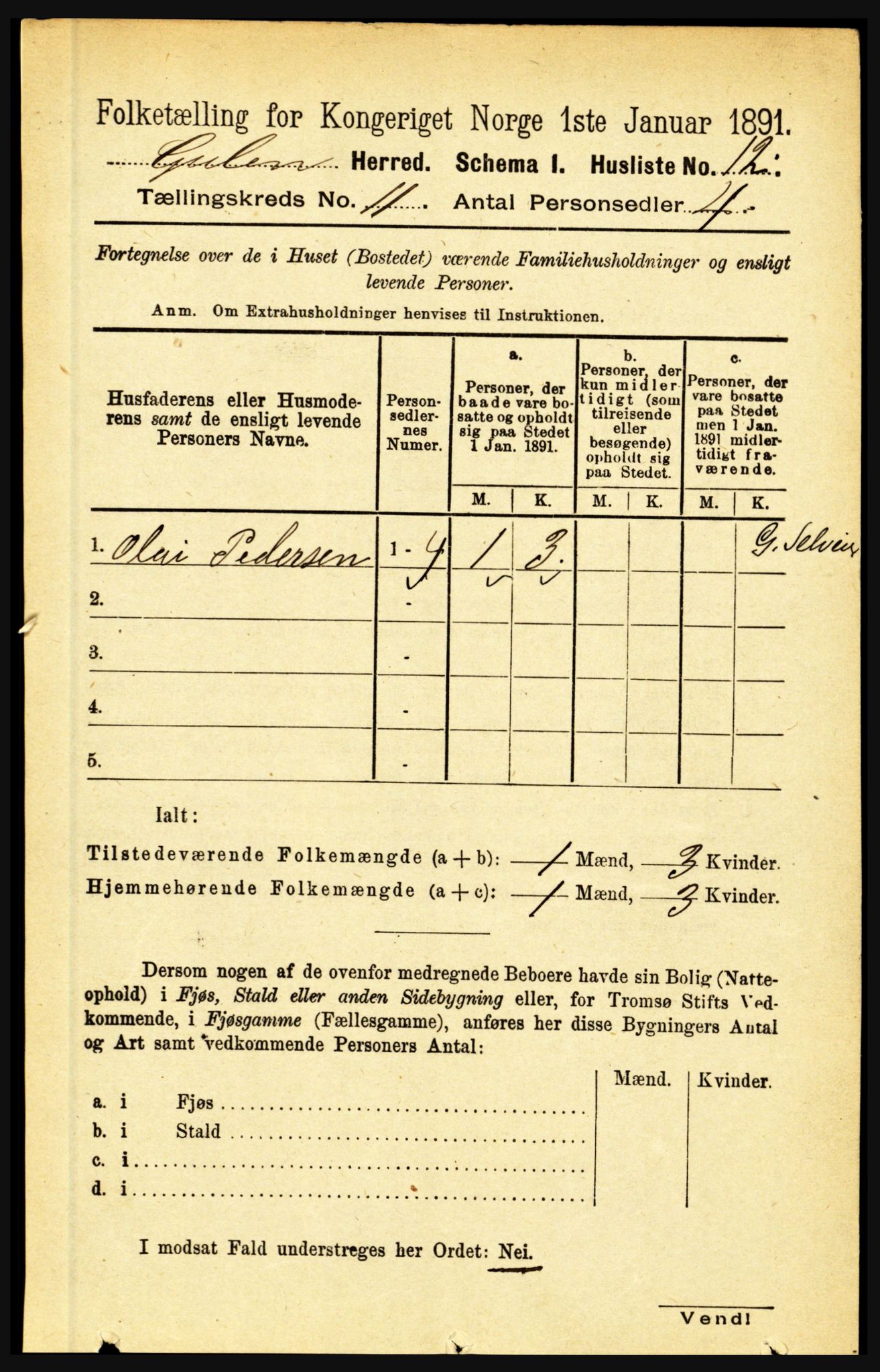 RA, 1891 census for 1411 Gulen, 1891, p. 3633