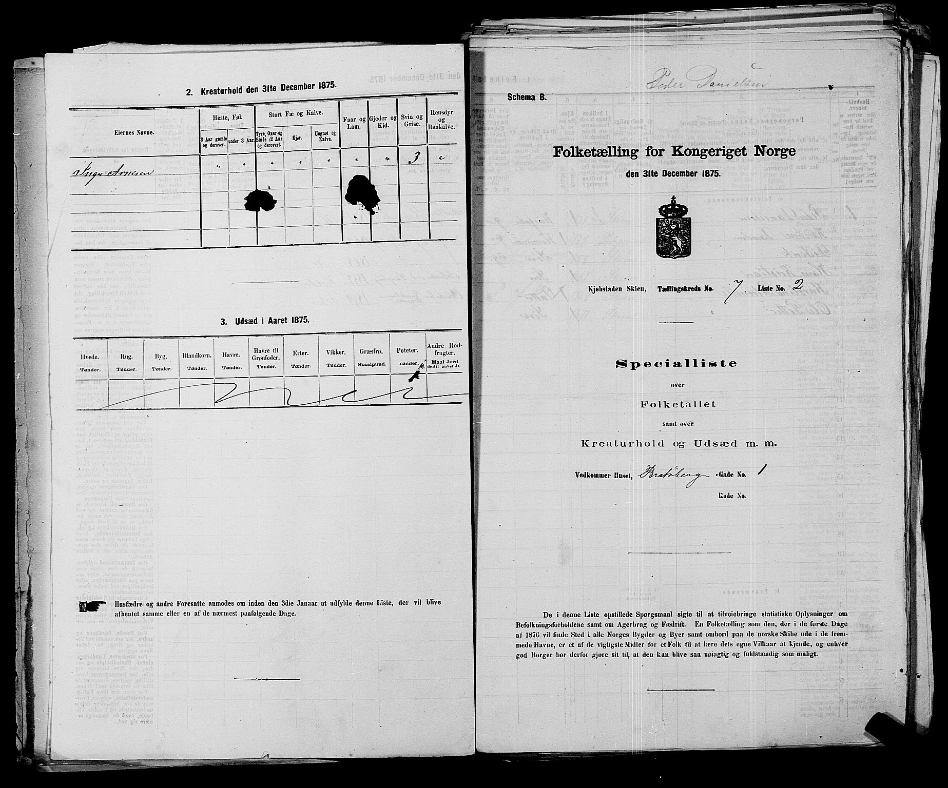 SAKO, 1875 census for 0806P Skien, 1875, p. 1041