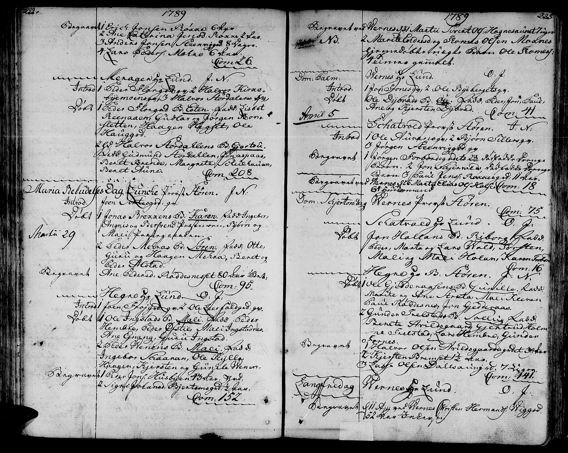 Ministerialprotokoller, klokkerbøker og fødselsregistre - Nord-Trøndelag, SAT/A-1458/709/L0059: Parish register (official) no. 709A06, 1781-1797, p. 222-223