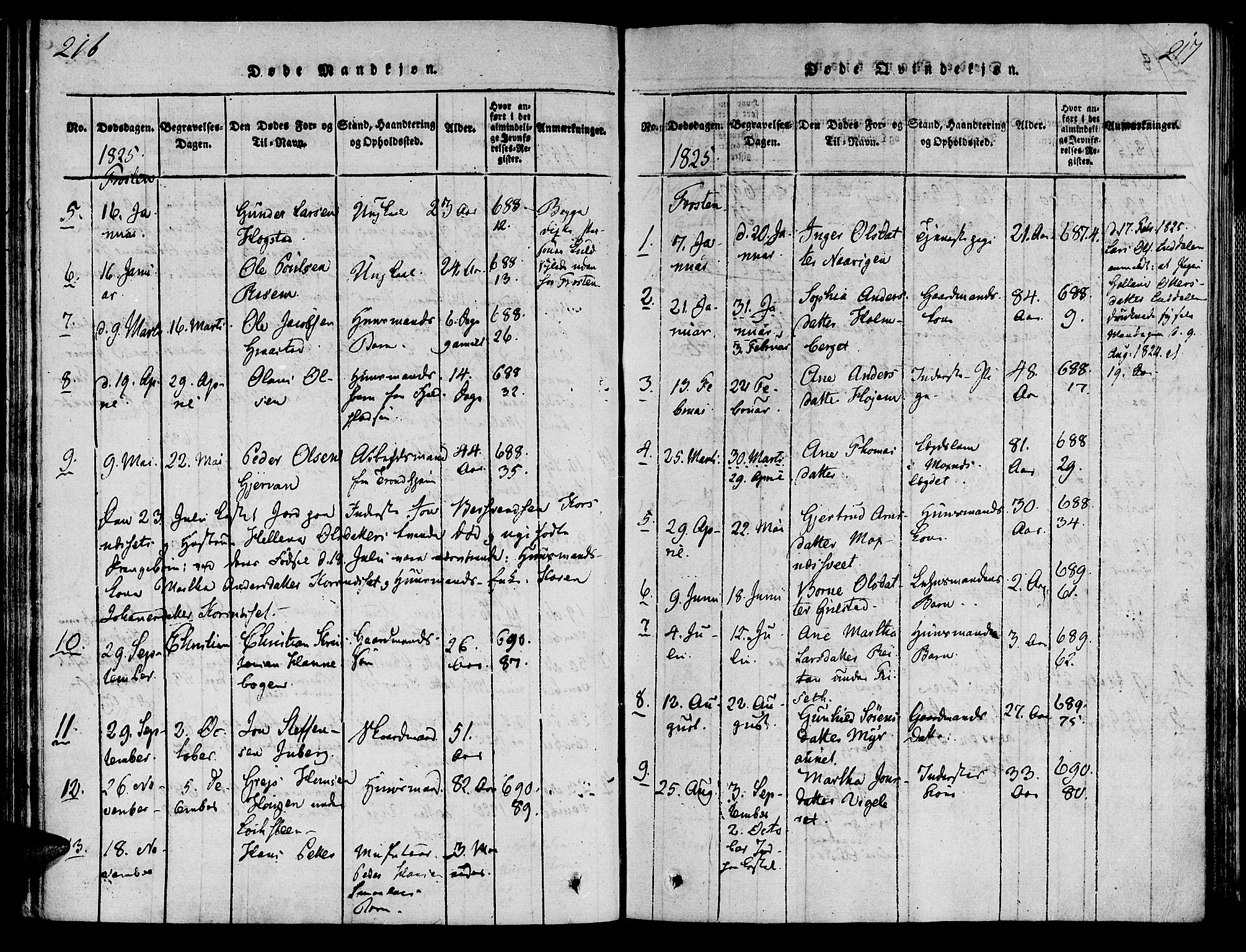Ministerialprotokoller, klokkerbøker og fødselsregistre - Nord-Trøndelag, SAT/A-1458/713/L0112: Parish register (official) no. 713A04 /1, 1817-1827, p. 216-217