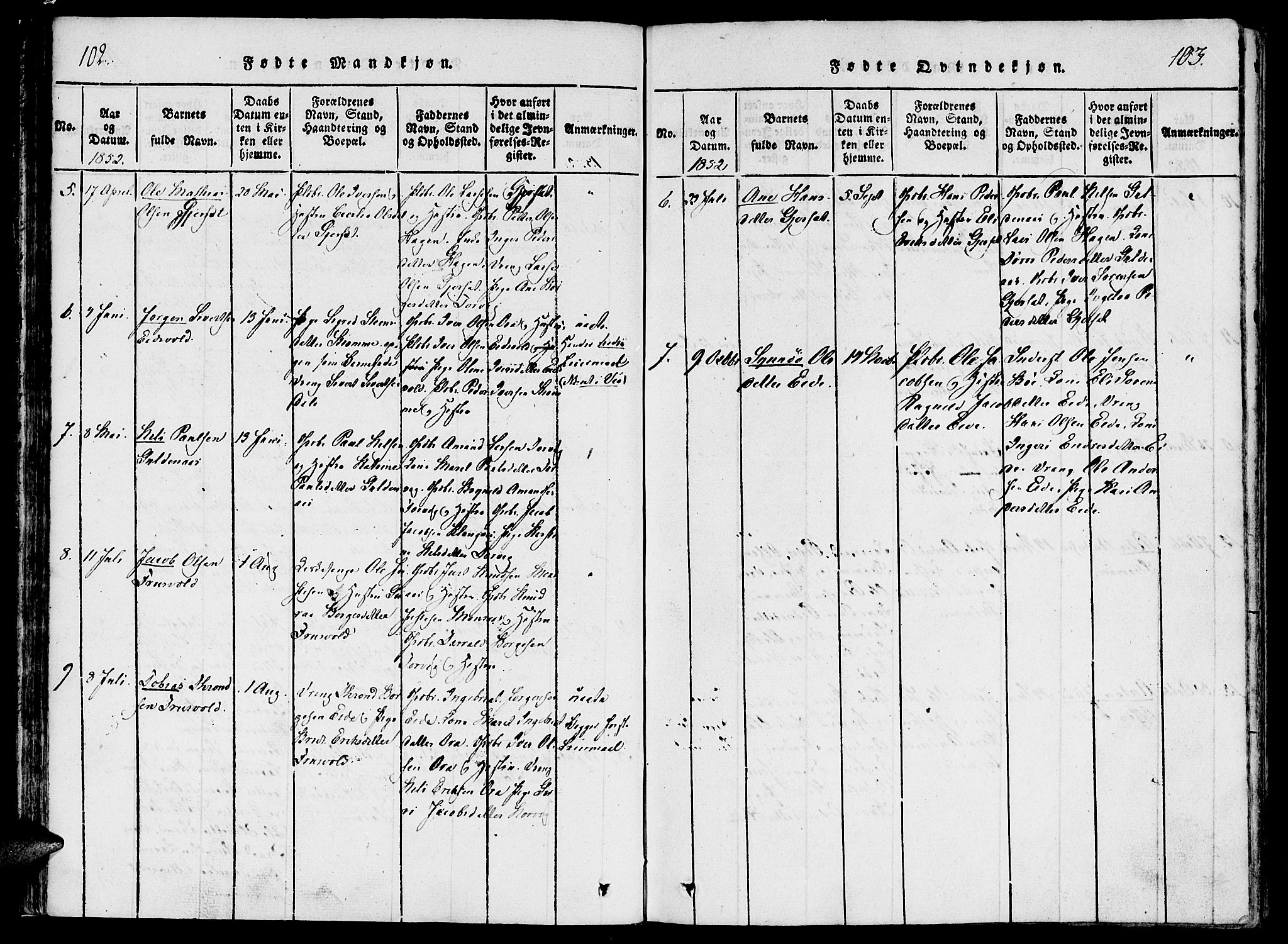 Ministerialprotokoller, klokkerbøker og fødselsregistre - Møre og Romsdal, AV/SAT-A-1454/542/L0551: Parish register (official) no. 542A01, 1818-1853, p. 102-103