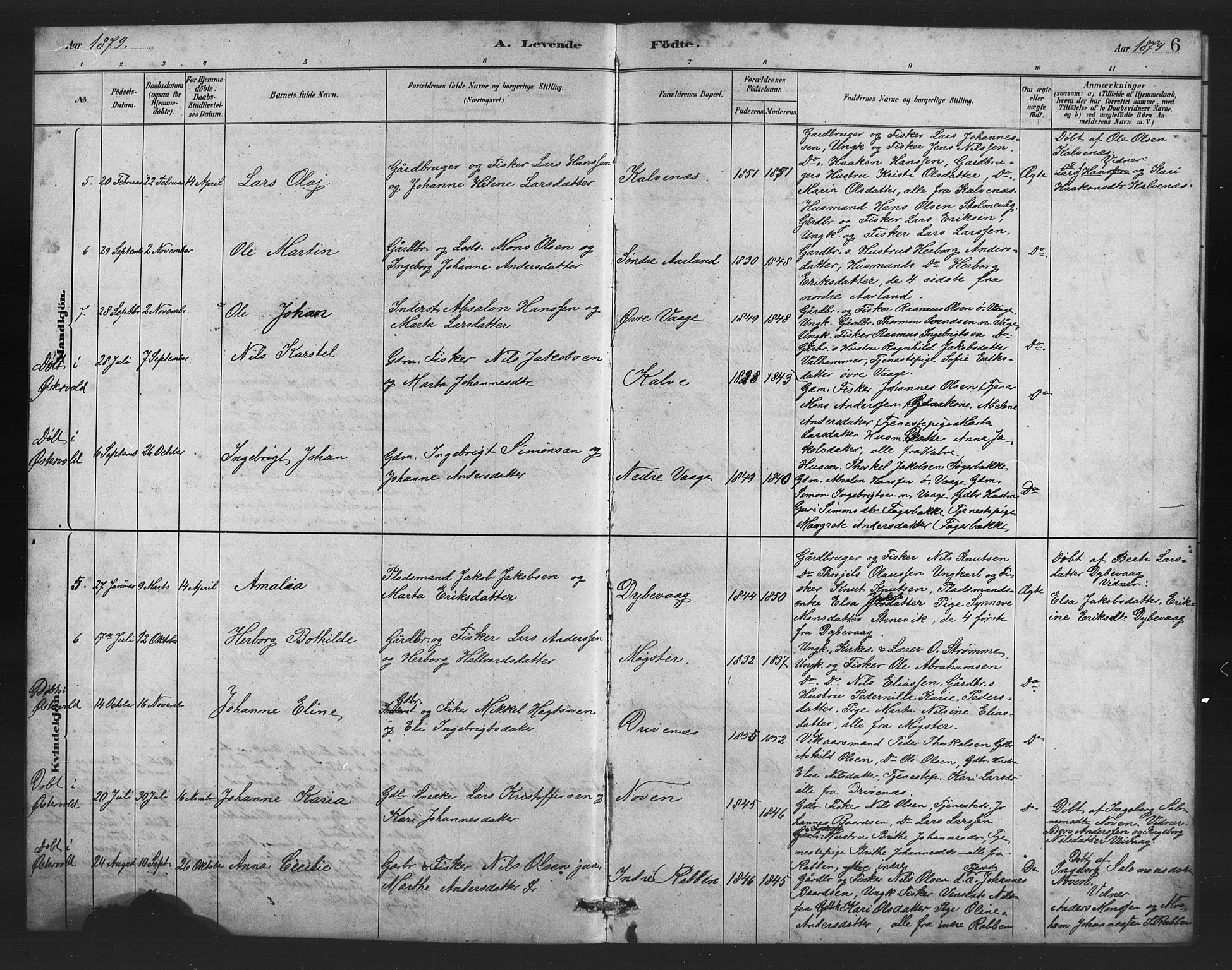 Austevoll sokneprestembete, AV/SAB-A-74201/H/Ha/Hab/Habb/L0003: Parish register (copy) no. B 3, 1879-1888, p. 6