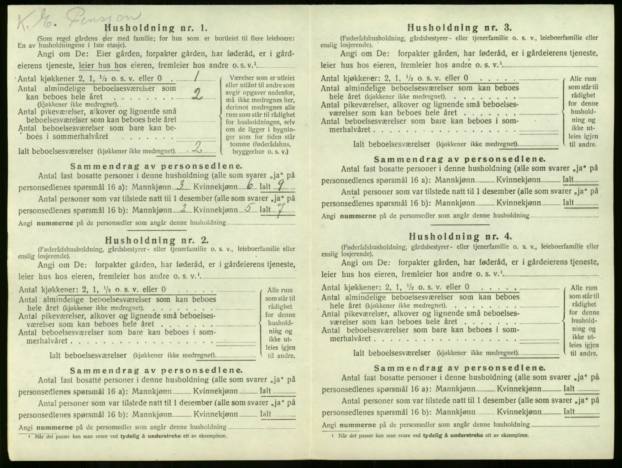 SAKO, 1920 census for Våle, 1920, p. 70