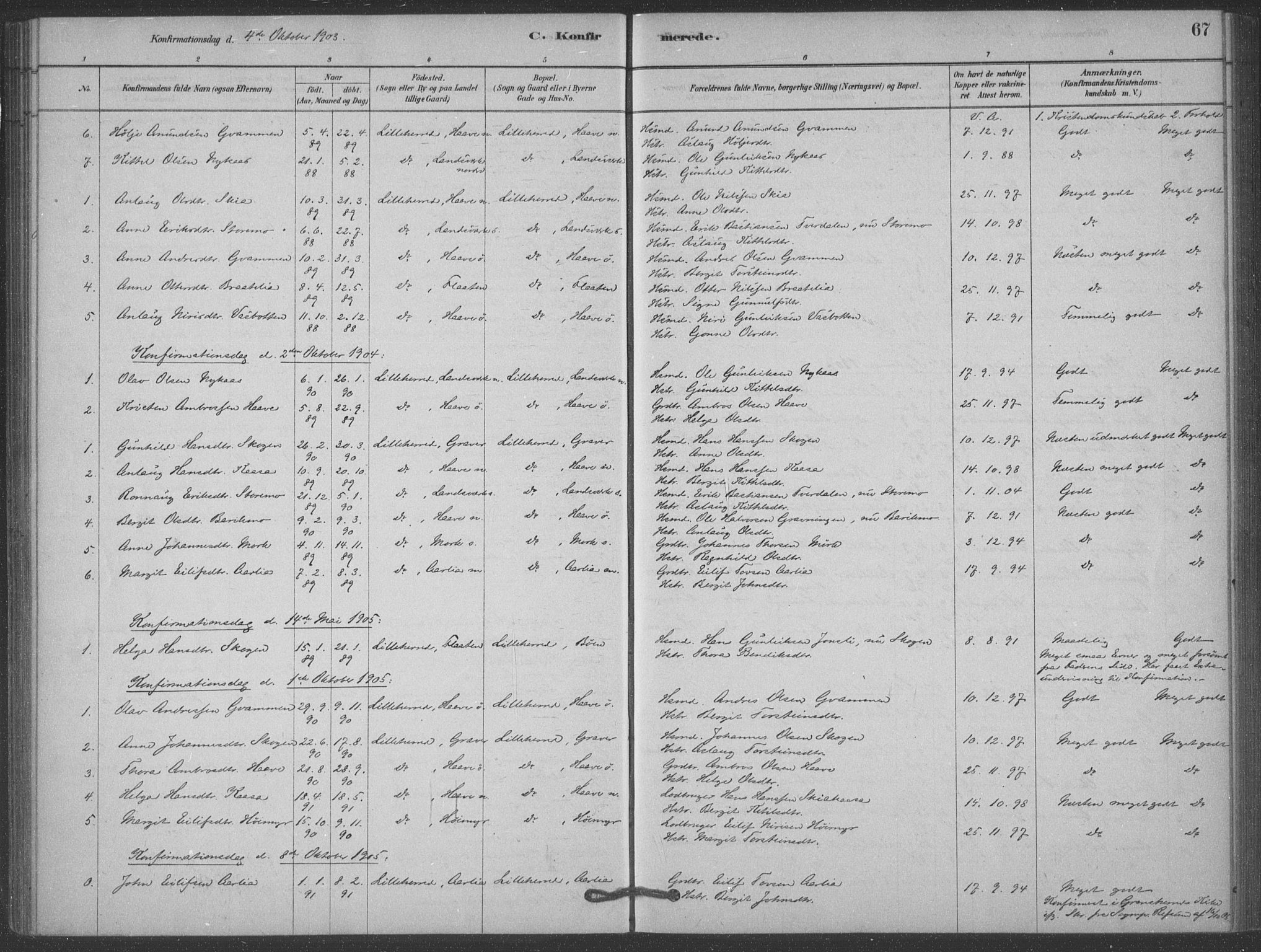 Heddal kirkebøker, SAKO/A-268/F/Fb/L0002: Parish register (official) no. II 2, 1878-1913, p. 67