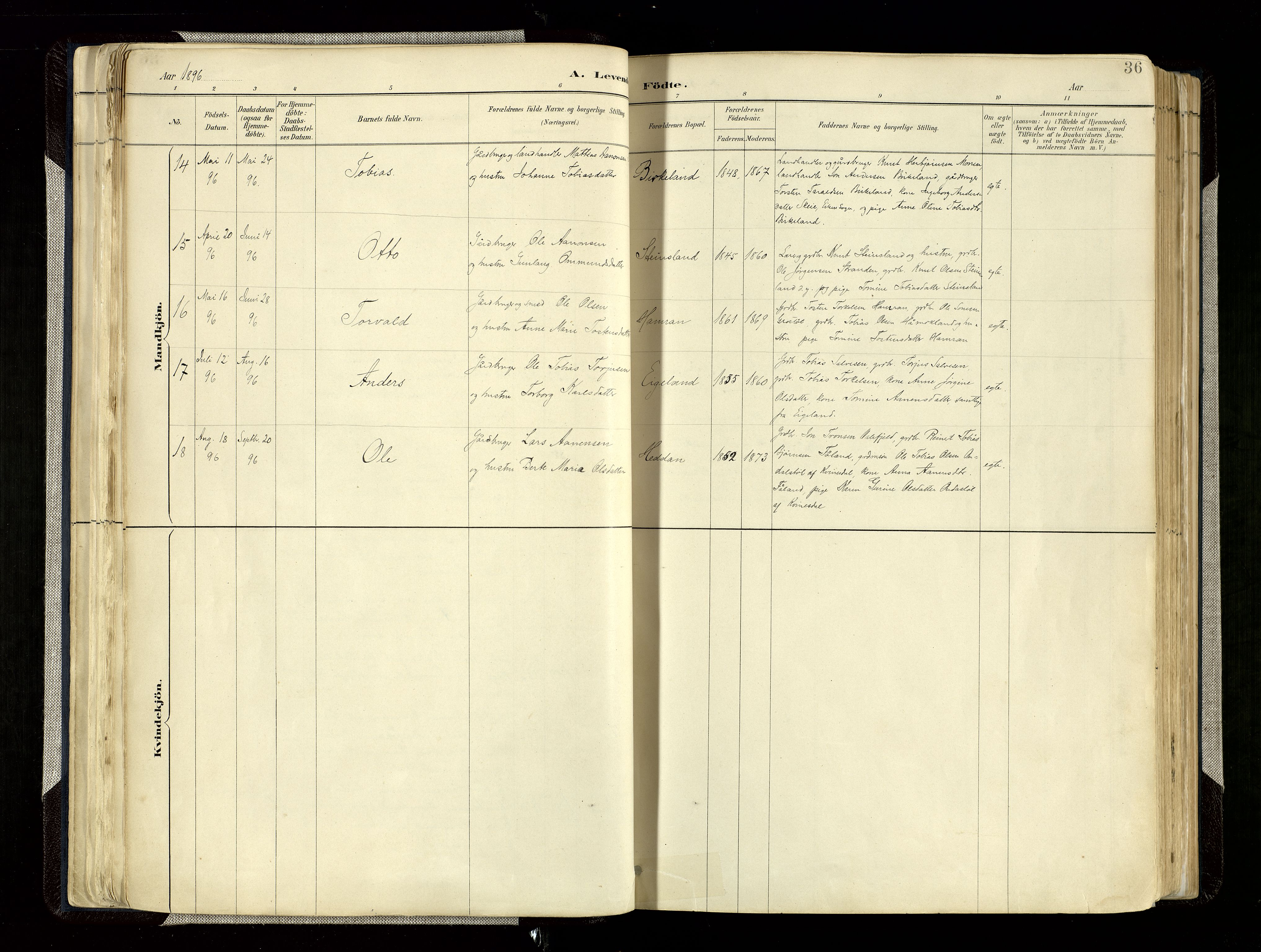 Hægebostad sokneprestkontor, AV/SAK-1111-0024/F/Fa/Faa/L0006: Parish register (official) no. A 6, 1887-1929, p. 36