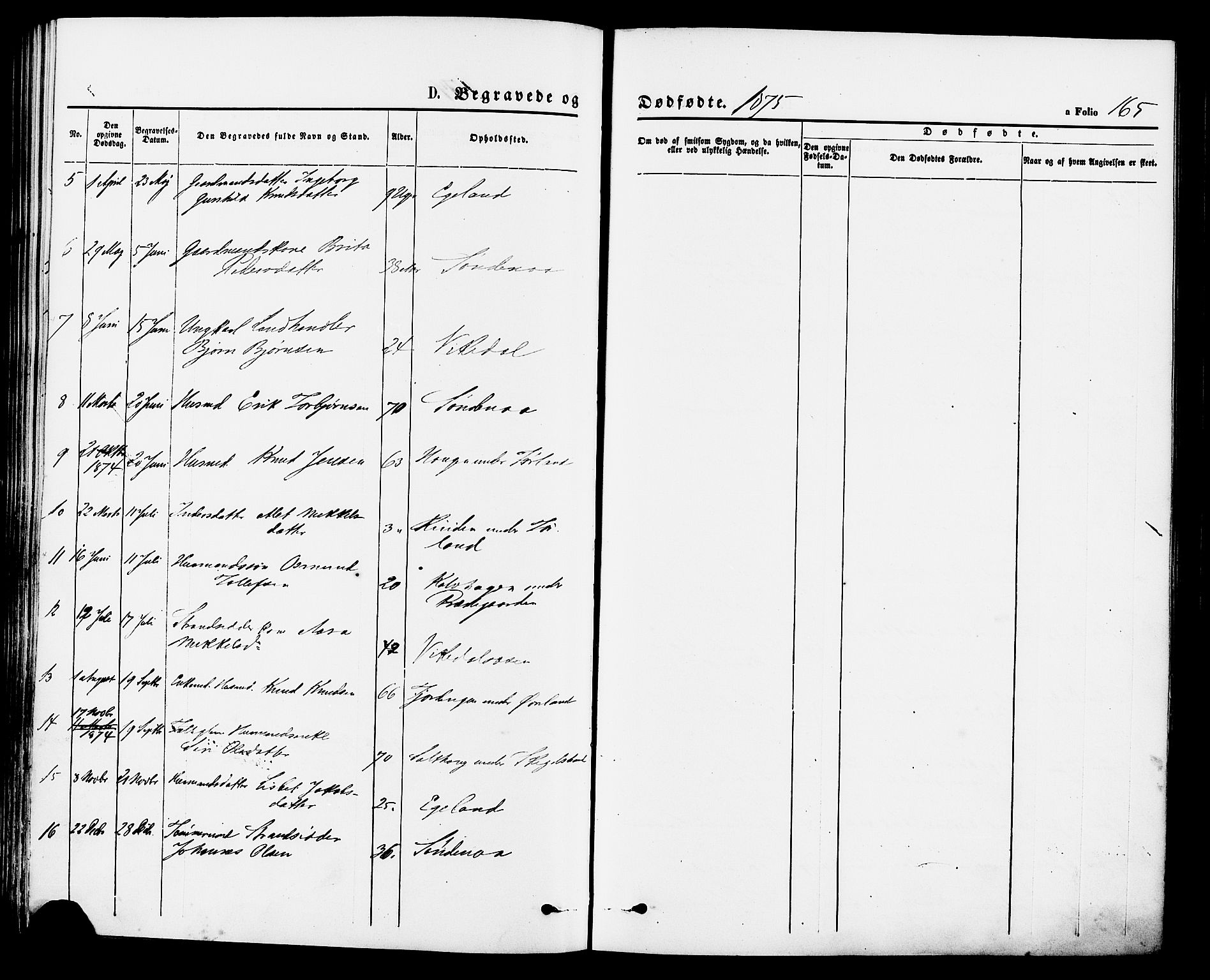 Vikedal sokneprestkontor, SAST/A-101840/01/IV: Parish register (official) no. A 7, 1868-1883, p. 165