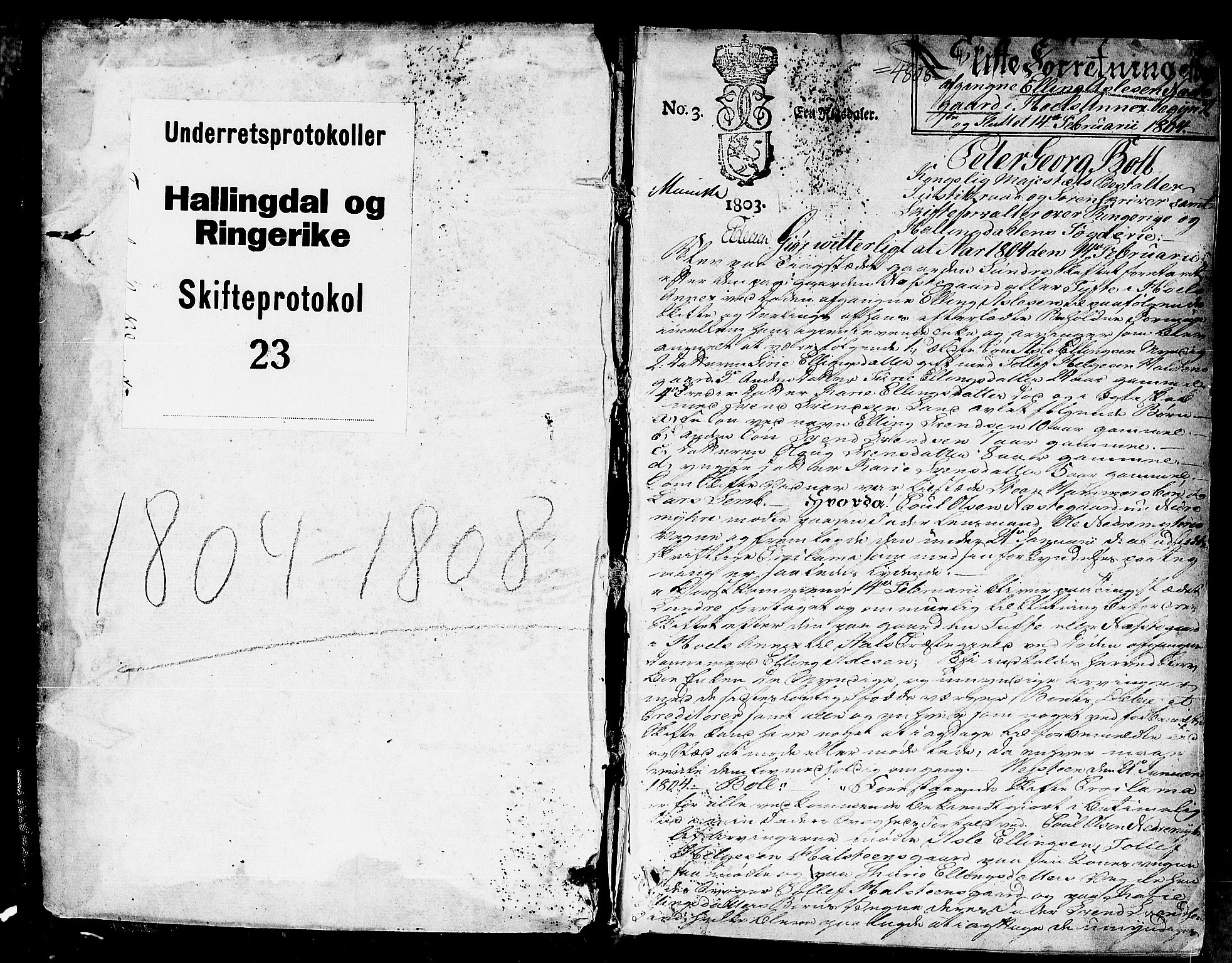 Ringerike og Hallingdal sorenskriveri, SAKO/A-81/H/Ha/L0023: Skifteprotokoll, 1804-1808, p. 0b-1a