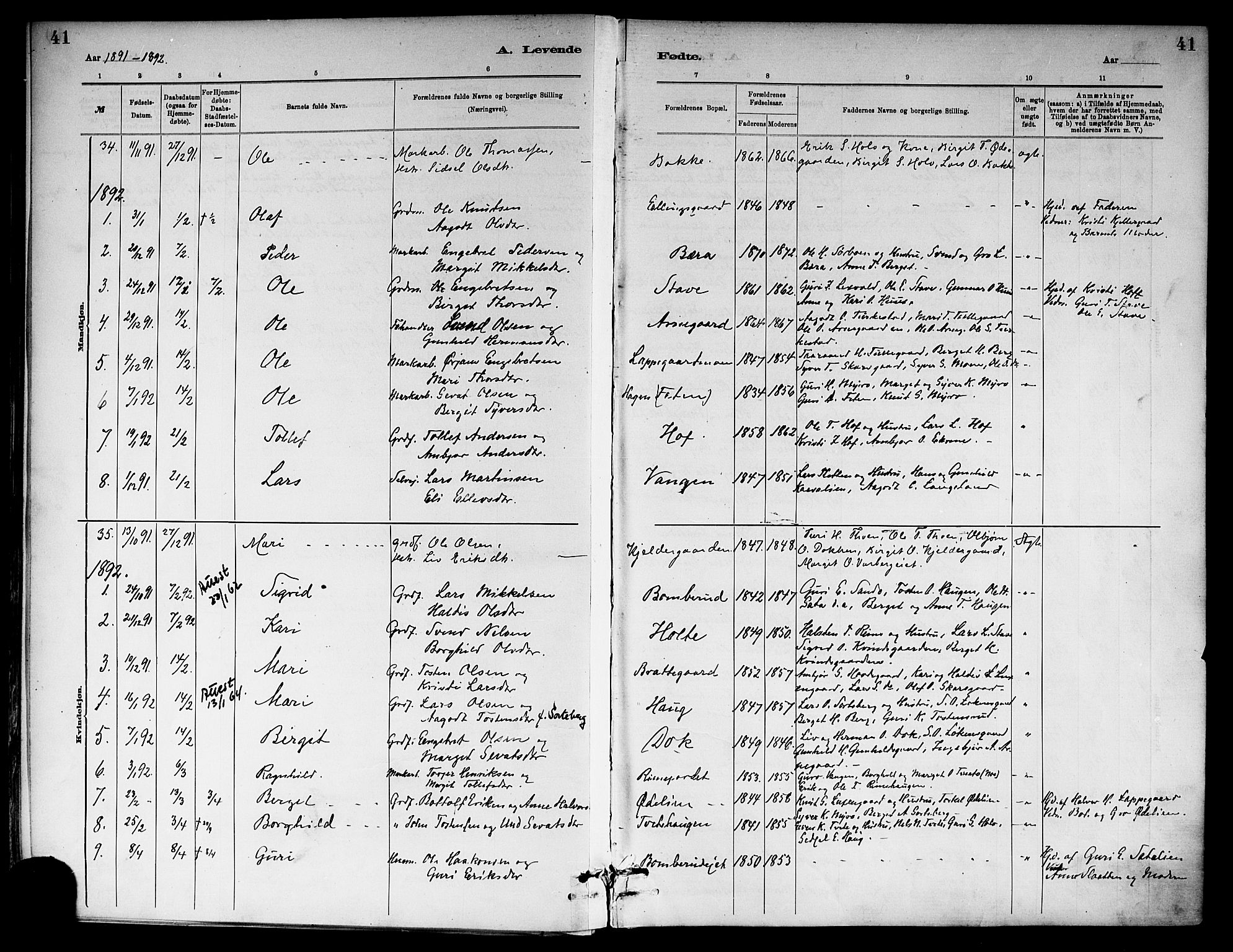 Ål kirkebøker, SAKO/A-249/F/Fa/L0008: Parish register (official) no. I 8, 1882-1896, p. 41