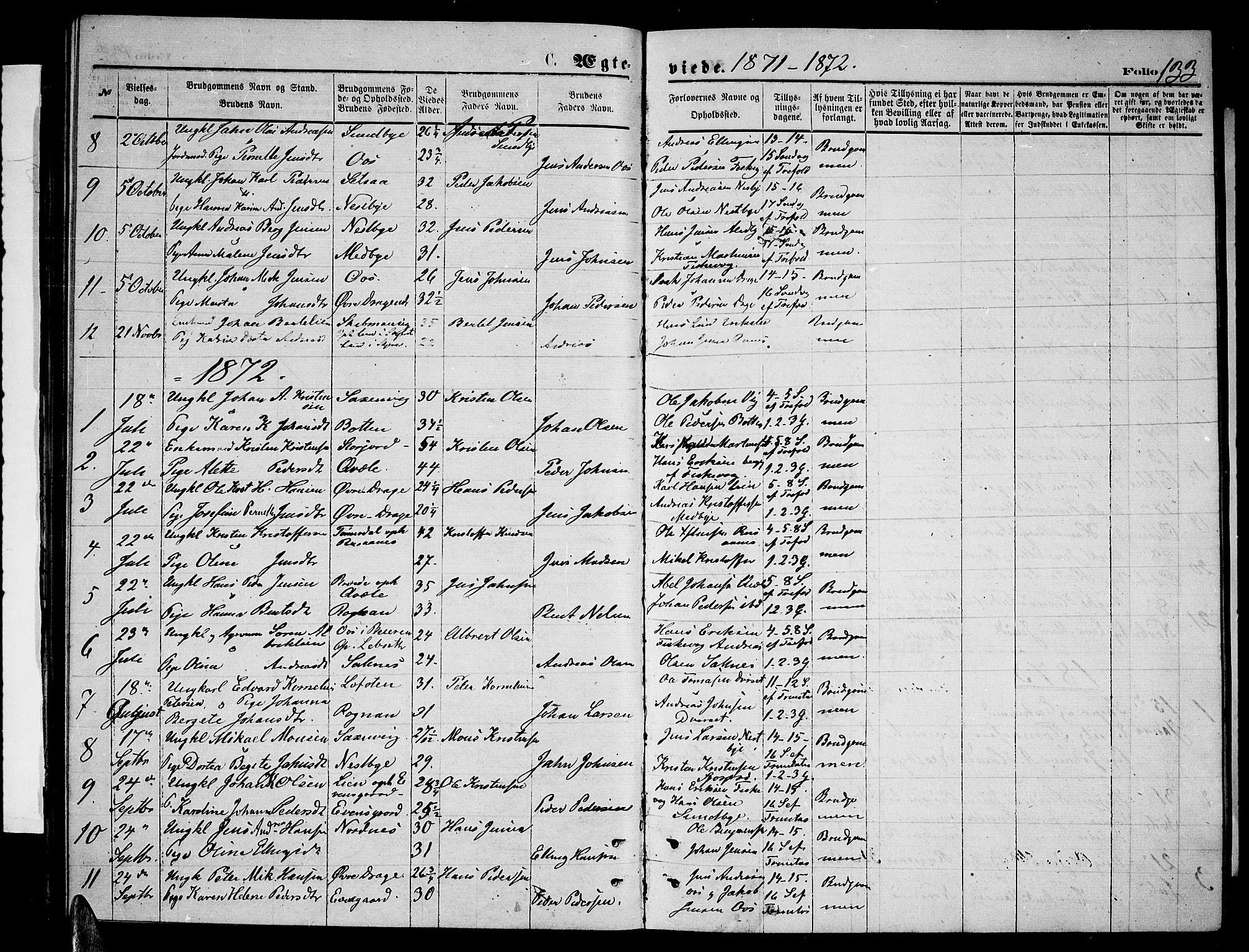 Ministerialprotokoller, klokkerbøker og fødselsregistre - Nordland, SAT/A-1459/847/L0679: Parish register (copy) no. 847C07, 1870-1888, p. 133