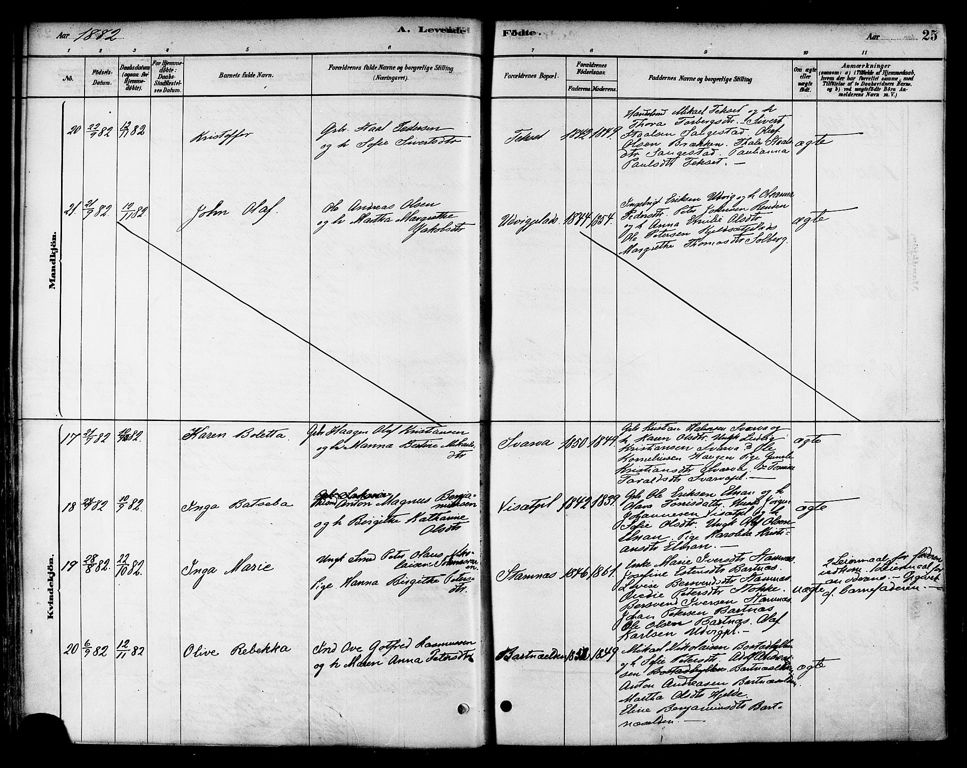 Ministerialprotokoller, klokkerbøker og fødselsregistre - Nord-Trøndelag, AV/SAT-A-1458/741/L0395: Parish register (official) no. 741A09, 1878-1888, p. 25