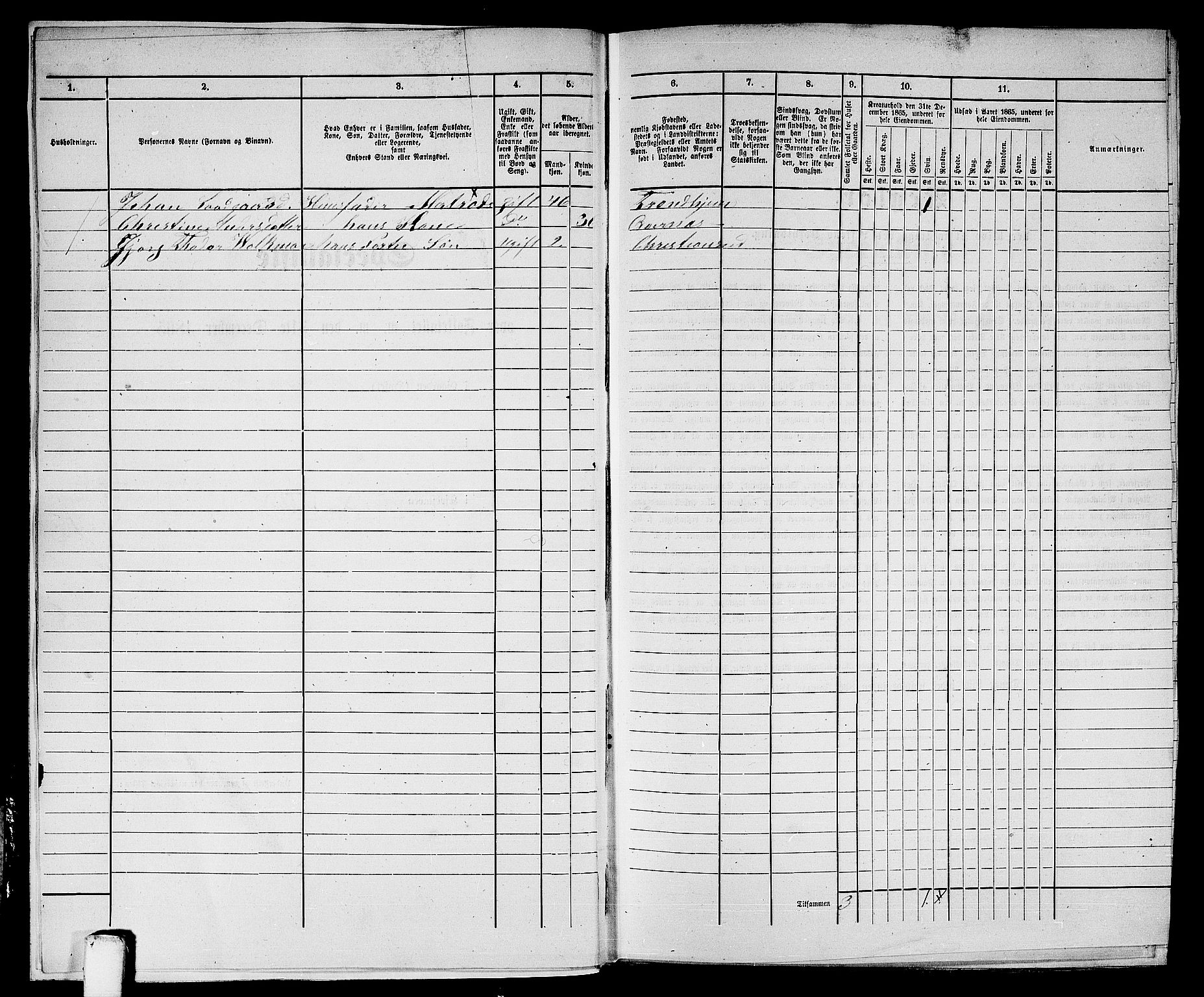 RA, 1865 census for Kristiansund/Kristiansund, 1865, p. 520