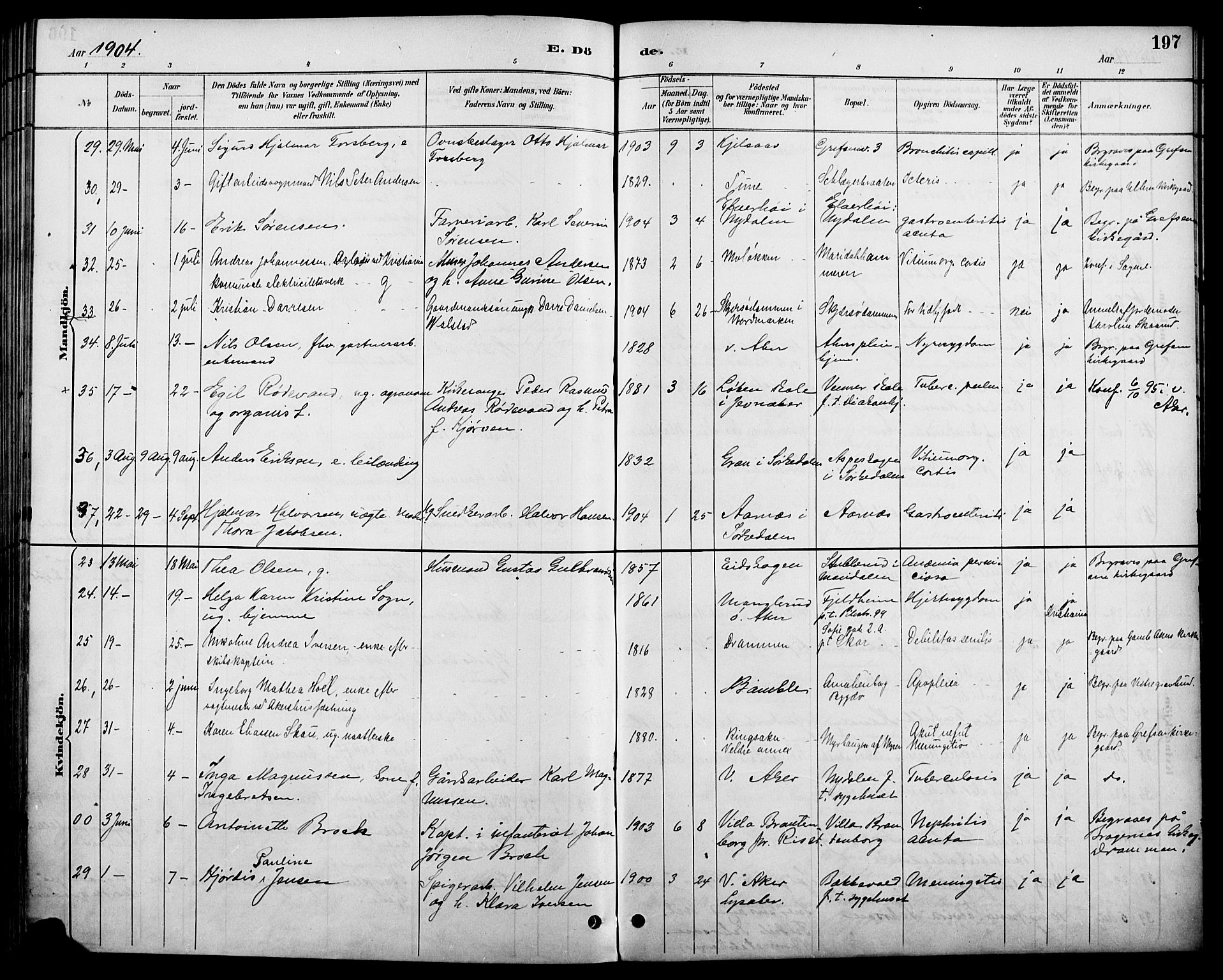 Vestre Aker prestekontor Kirkebøker, SAO/A-10025/F/Fa/L0011: Parish register (official) no. 11, 1886-1904, p. 197