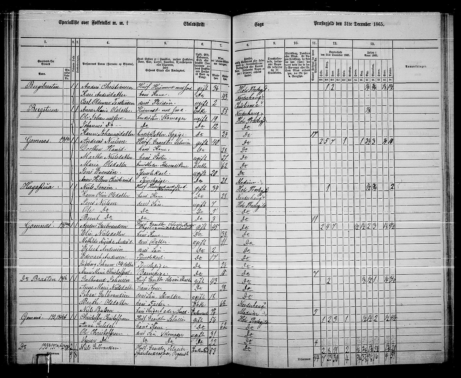RA, 1865 census for Hole, 1865, p. 101