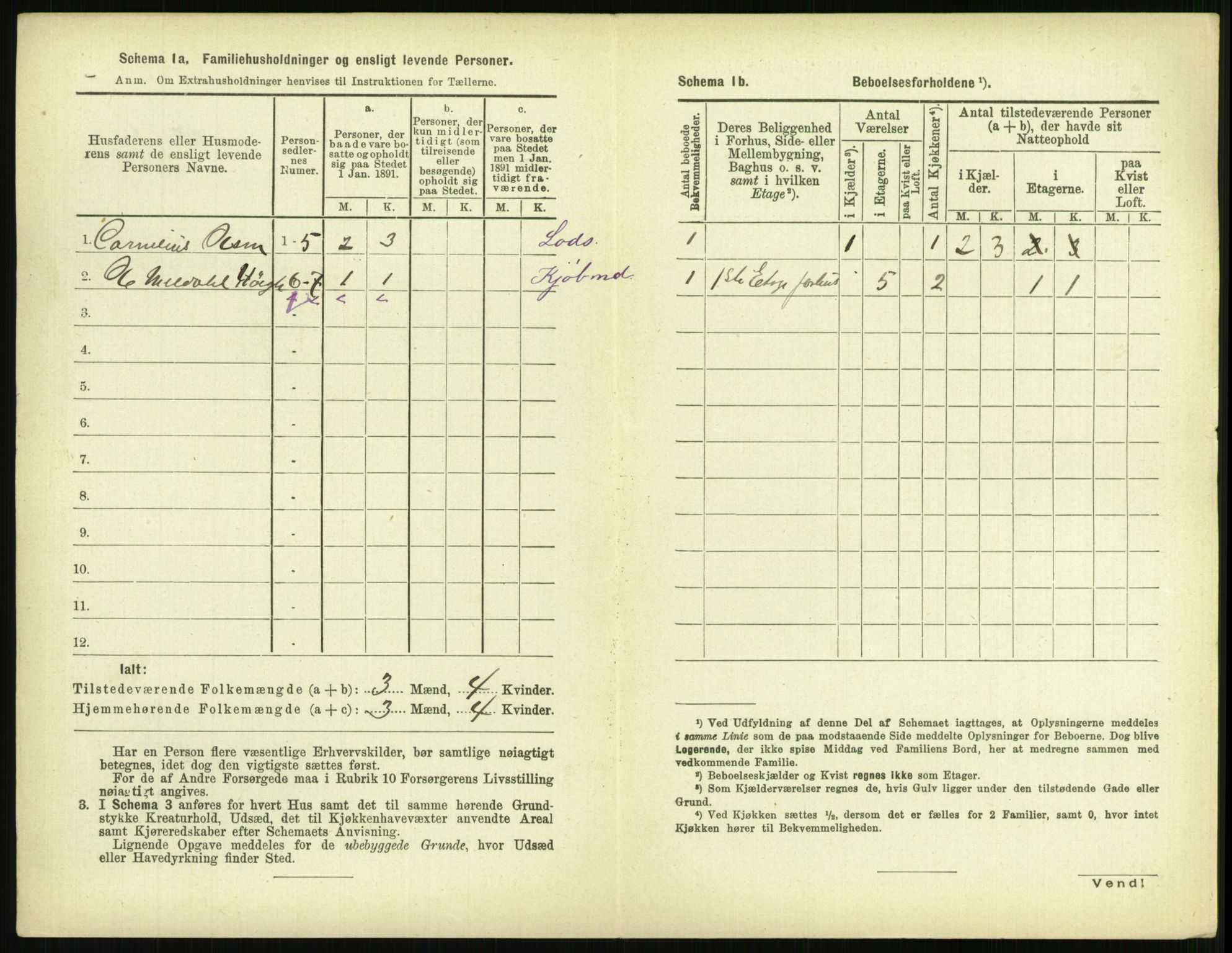 RA, 1891 census for 0802 Langesund, 1891, p. 117