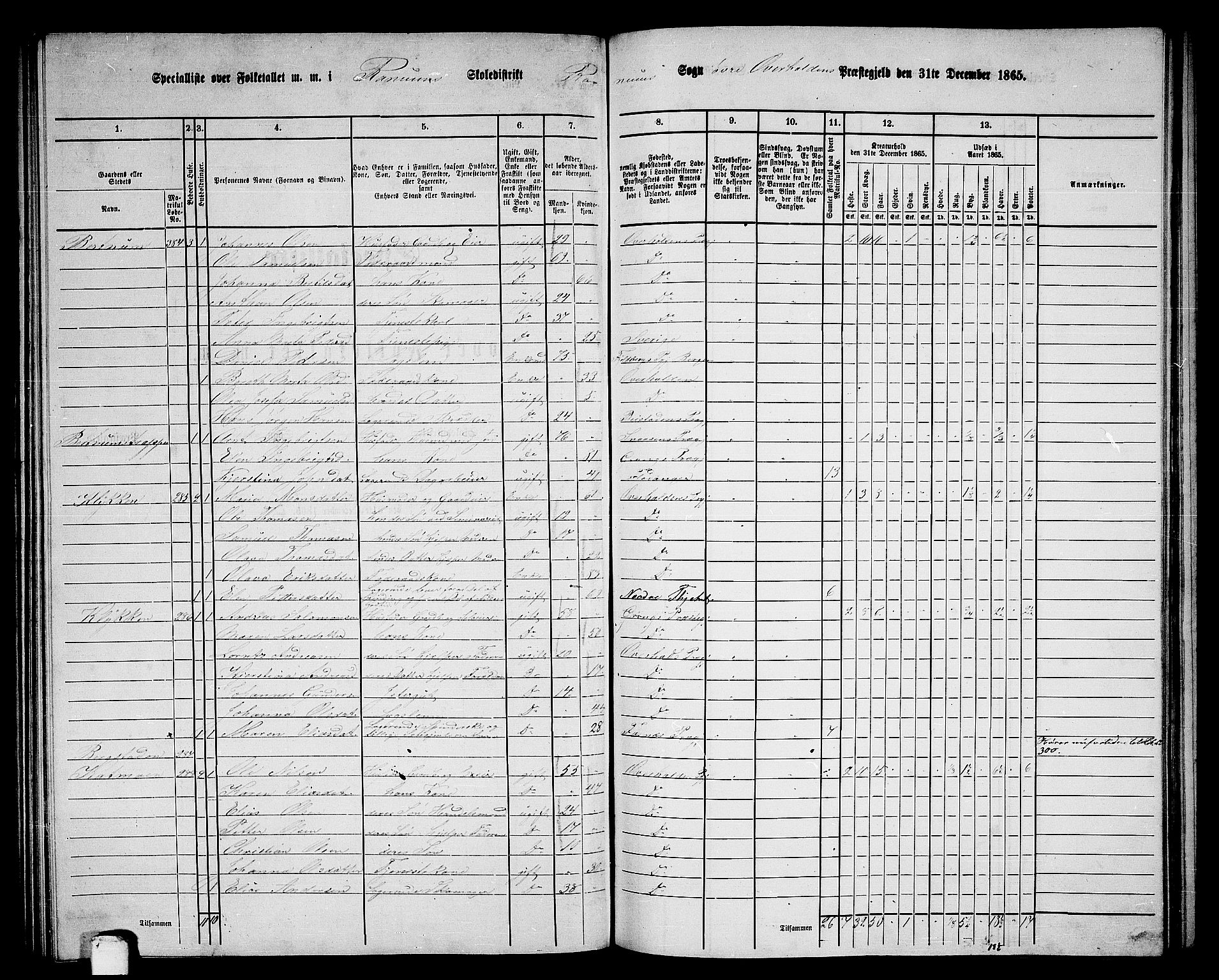 RA, 1865 census for Overhalla, 1865, p. 47