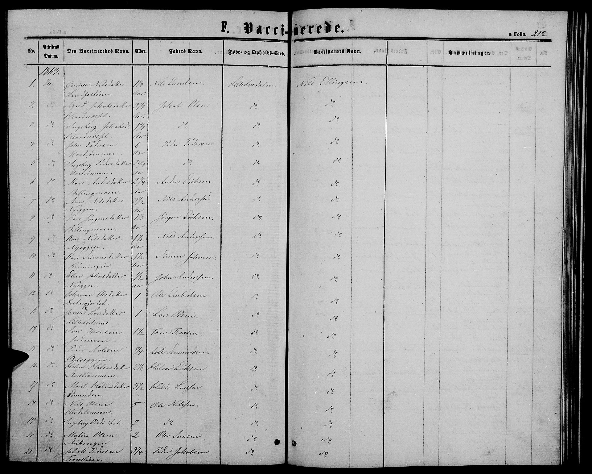 Alvdal prestekontor, SAH/PREST-060/H/Ha/Hab/L0002: Parish register (copy) no. 2, 1863-1878, p. 212