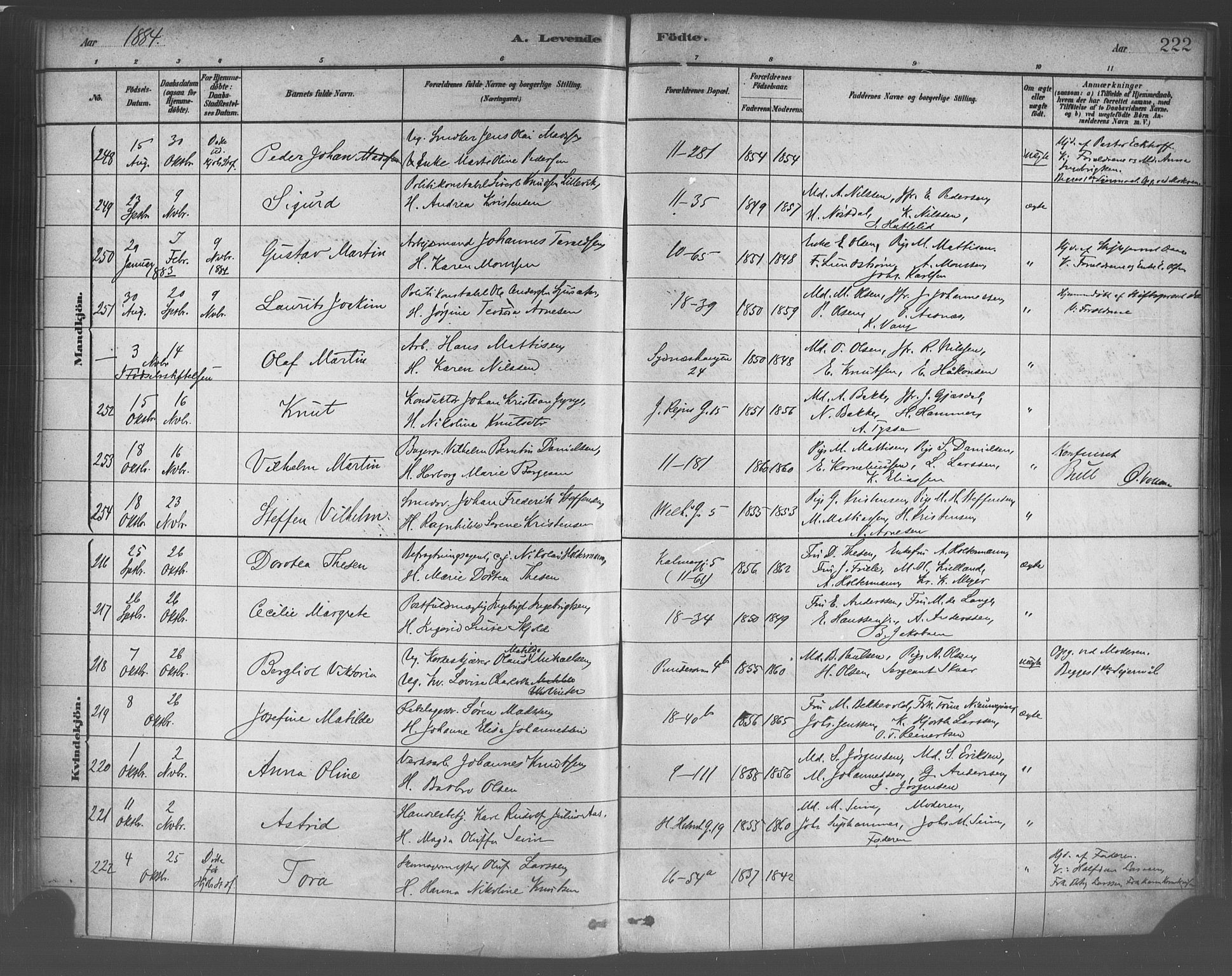 Domkirken sokneprestembete, SAB/A-74801/H/Haa/L0023: Parish register (official) no. B 6, 1879-1887, p. 222
