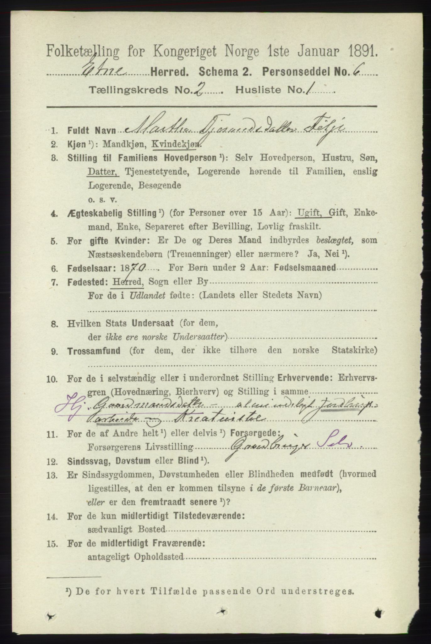 RA, 1891 census for 1211 Etne, 1891, p. 337