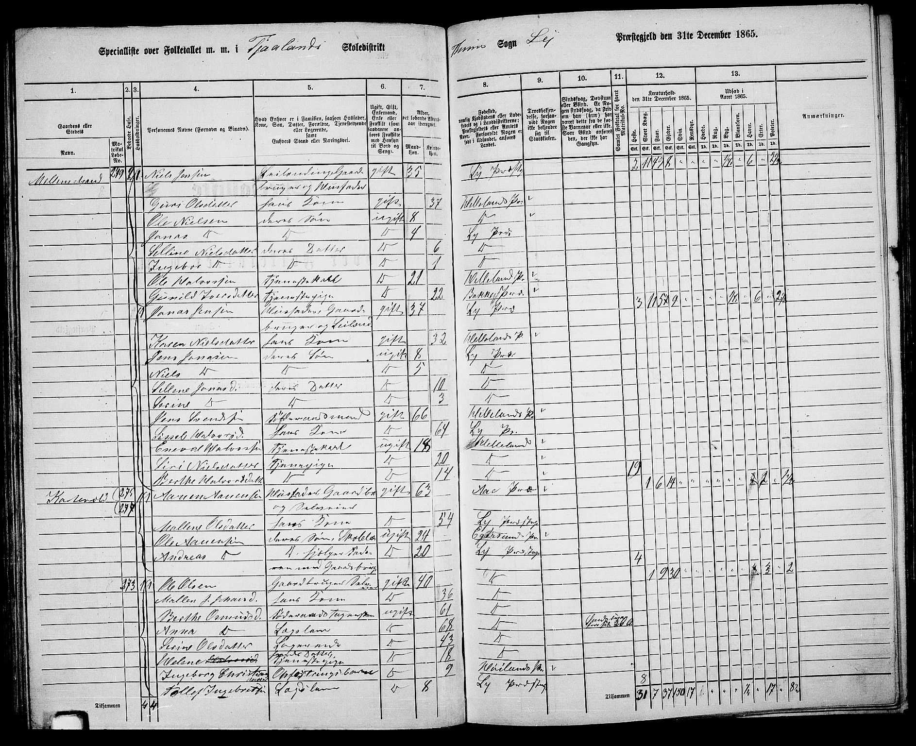 RA, 1865 census for Lye, 1865, p. 73