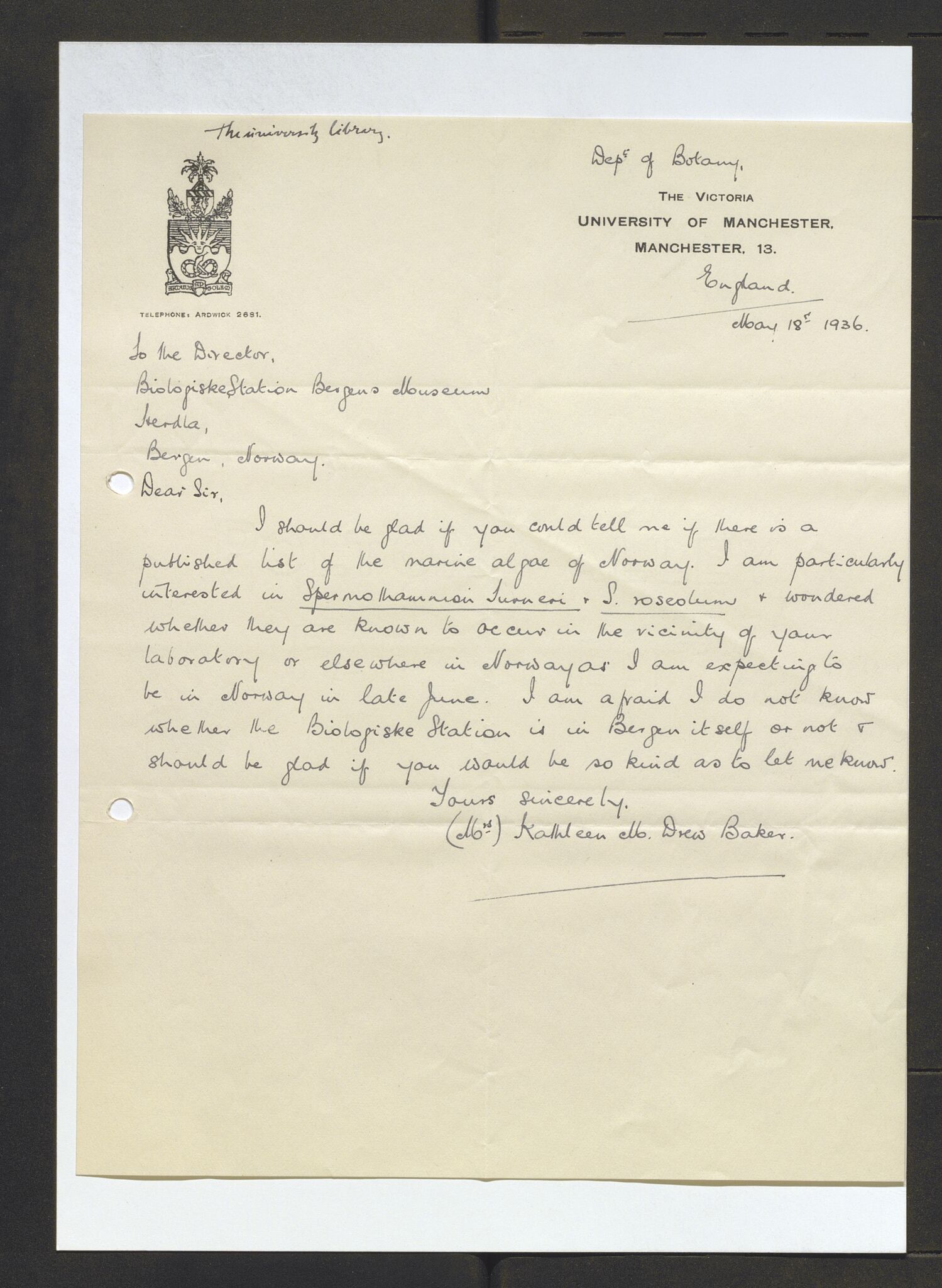 Bergens Museum, AV/SAB-A-17301/13/D/L0002: Korrespondanse , 1928-1940, p. 333