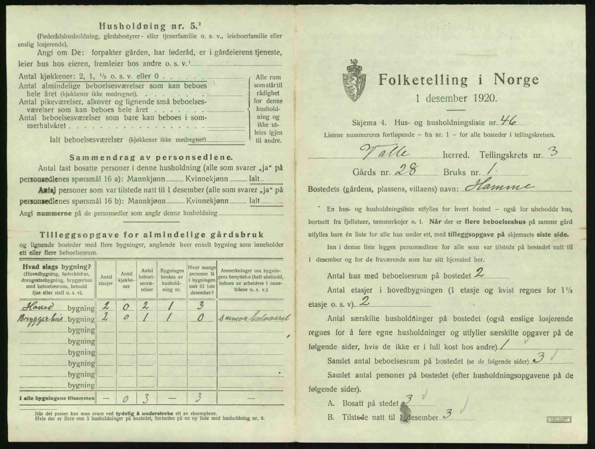 SAK, 1920 census for Valle, 1920, p. 313