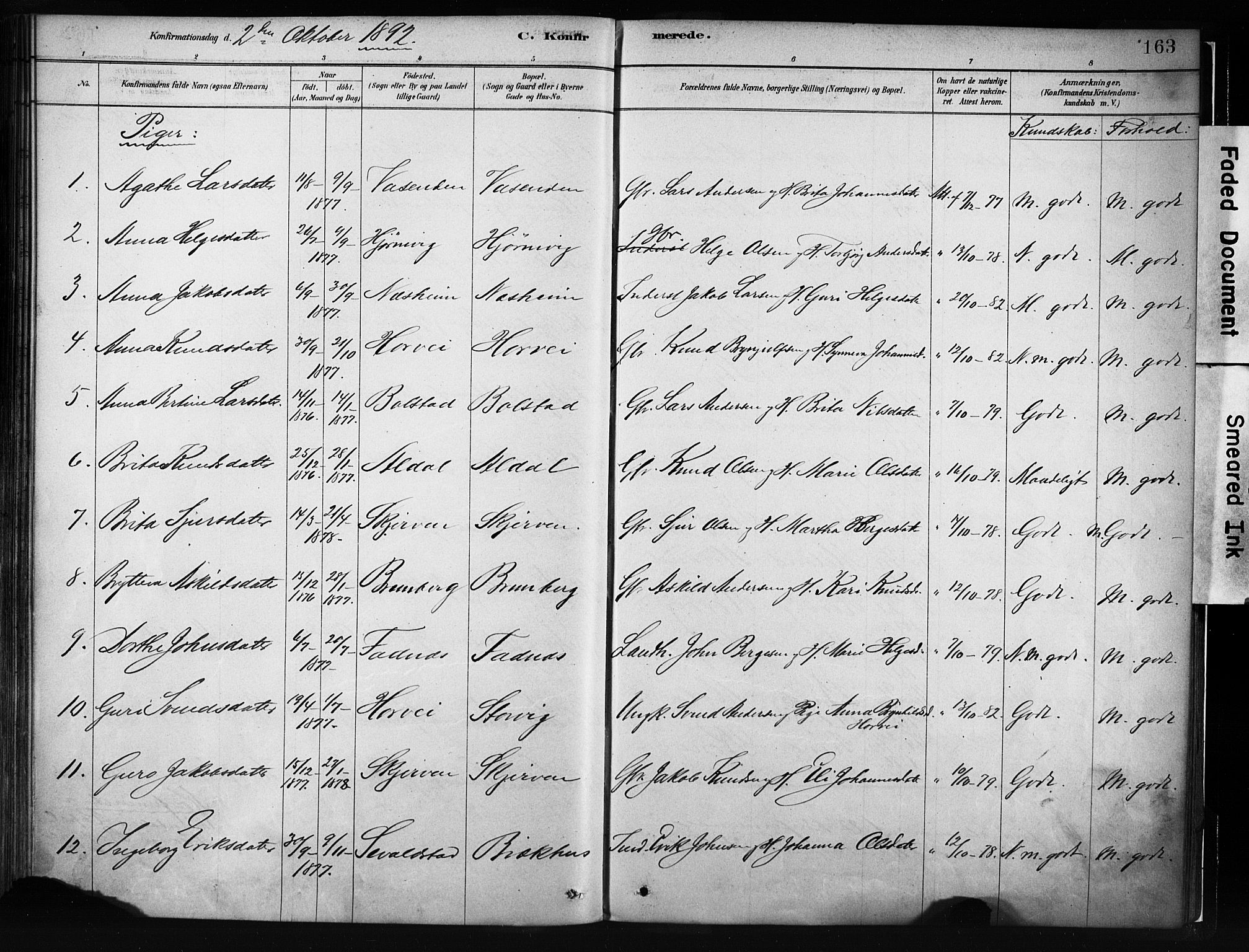 Evanger sokneprestembete, AV/SAB-A-99924: Parish register (official) no. A 1, 1877-1899, p. 163