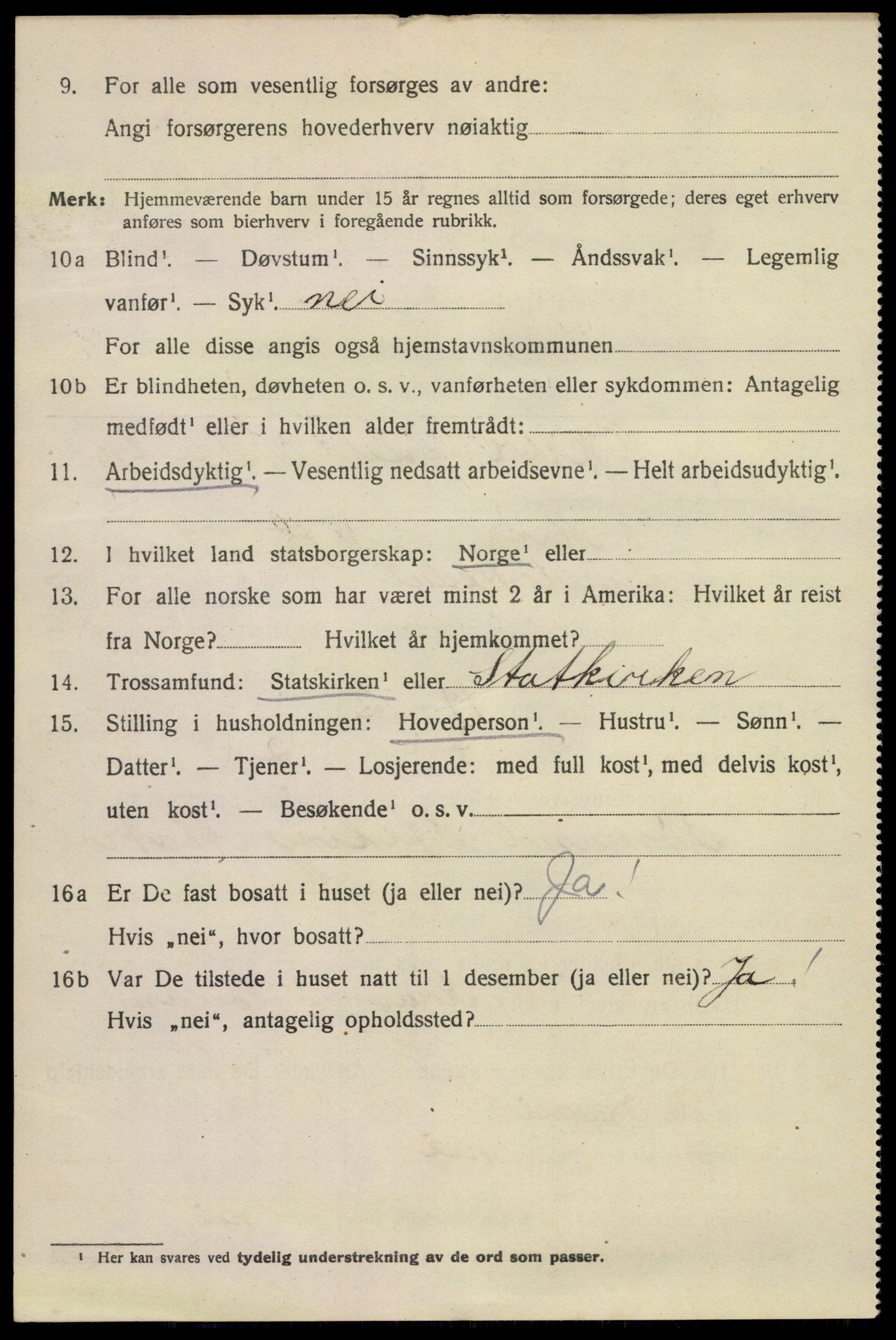 SAKO, 1920 census for Kragerø, 1920, p. 11988