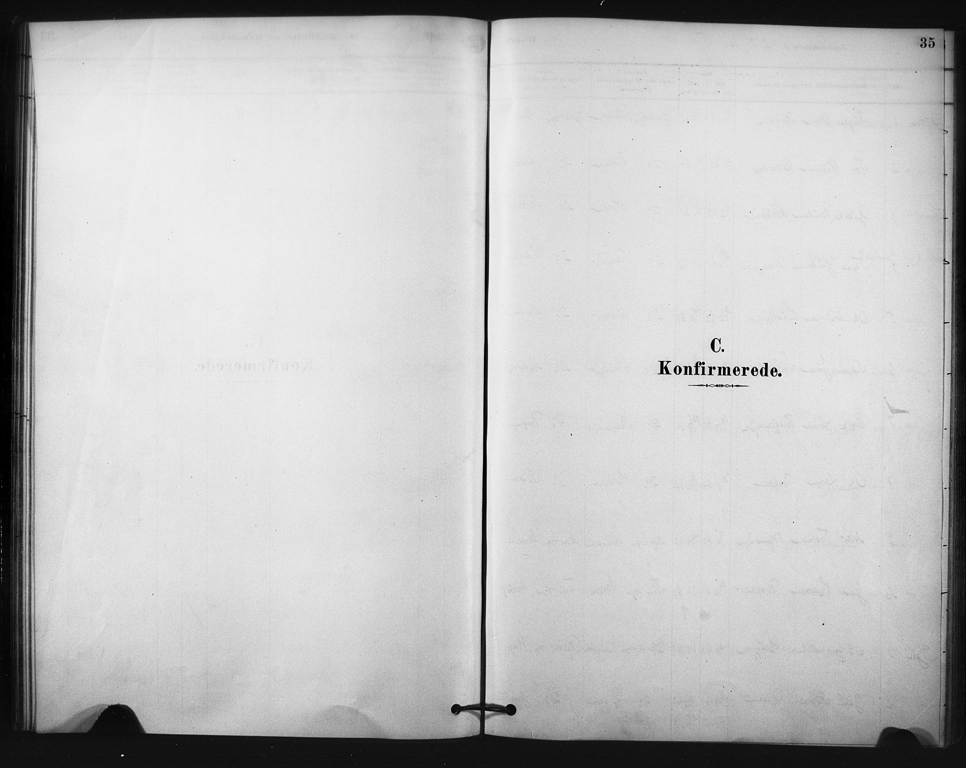 Nore kirkebøker, SAKO/A-238/F/Fc/L0003: Parish register (official) no. III 3, 1878-1884, p. 35