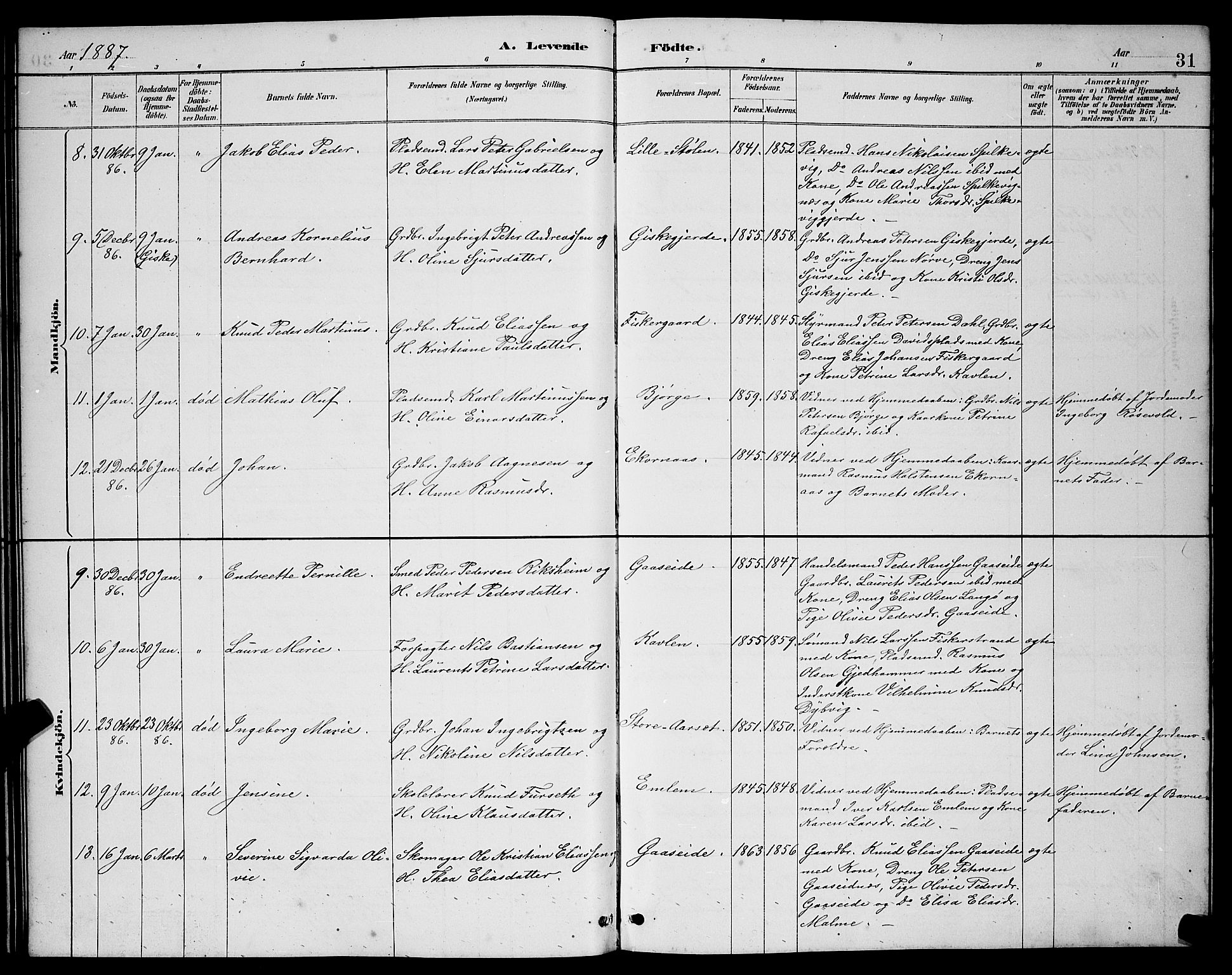 Ministerialprotokoller, klokkerbøker og fødselsregistre - Møre og Romsdal, AV/SAT-A-1454/528/L0431: Parish register (copy) no. 528C12, 1885-1898, p. 31