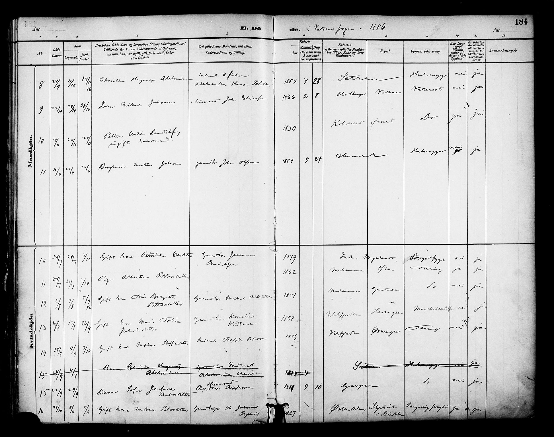 Ministerialprotokoller, klokkerbøker og fødselsregistre - Nordland, AV/SAT-A-1459/810/L0150: Parish register (official) no. 810A10 /1, 1884-1895, p. 184