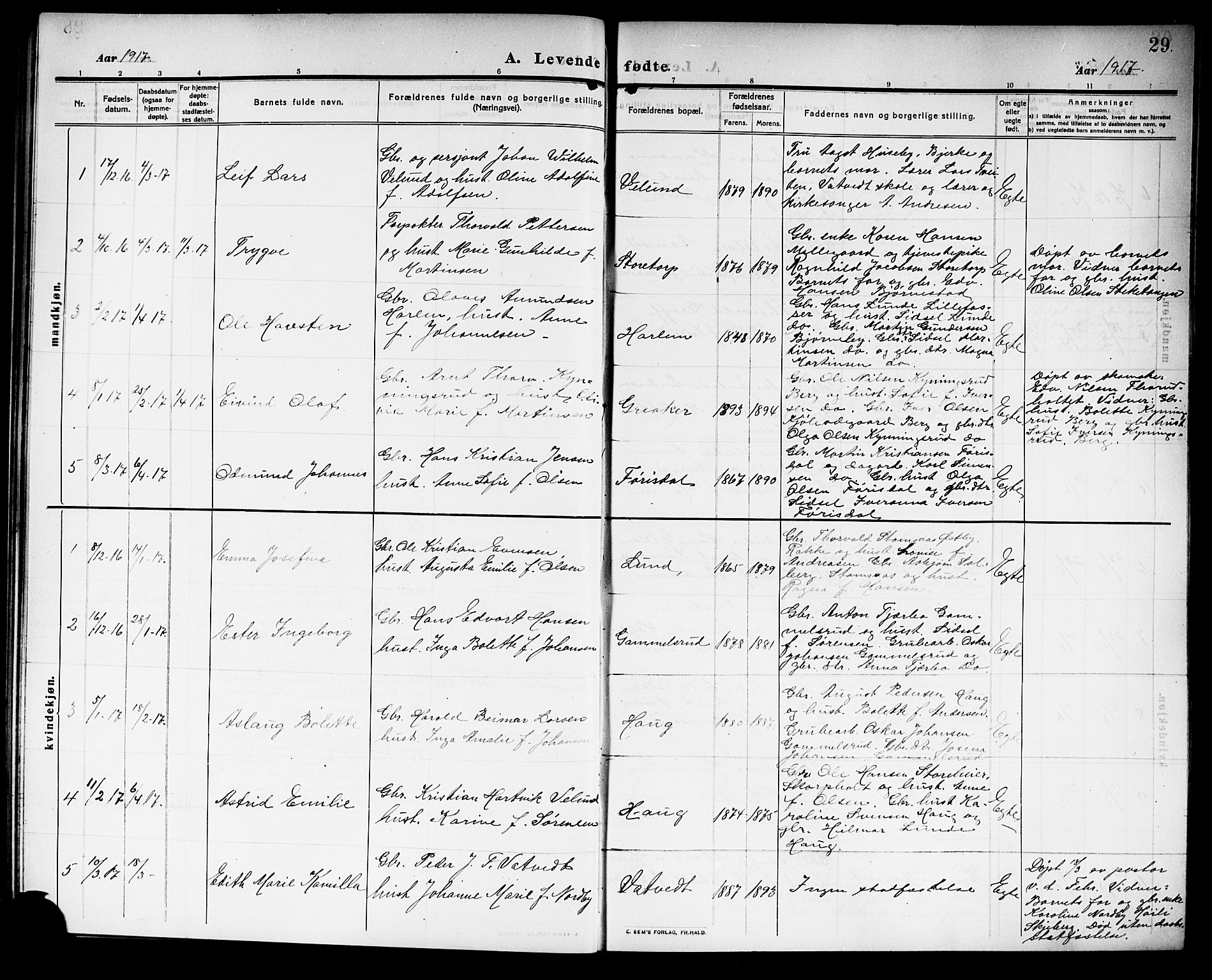 Rakkestad prestekontor Kirkebøker, AV/SAO-A-2008/G/Gb/L0002: Parish register (copy) no. II 2, 1909-1920, p. 29