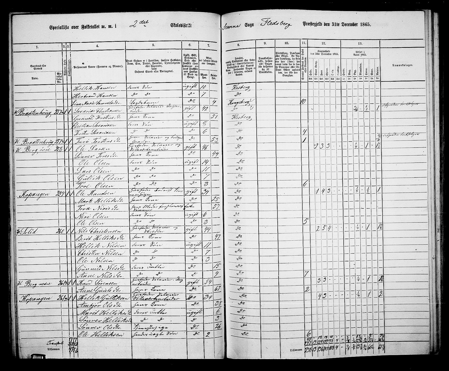 RA, 1865 census for Flesberg, 1865, p. 47