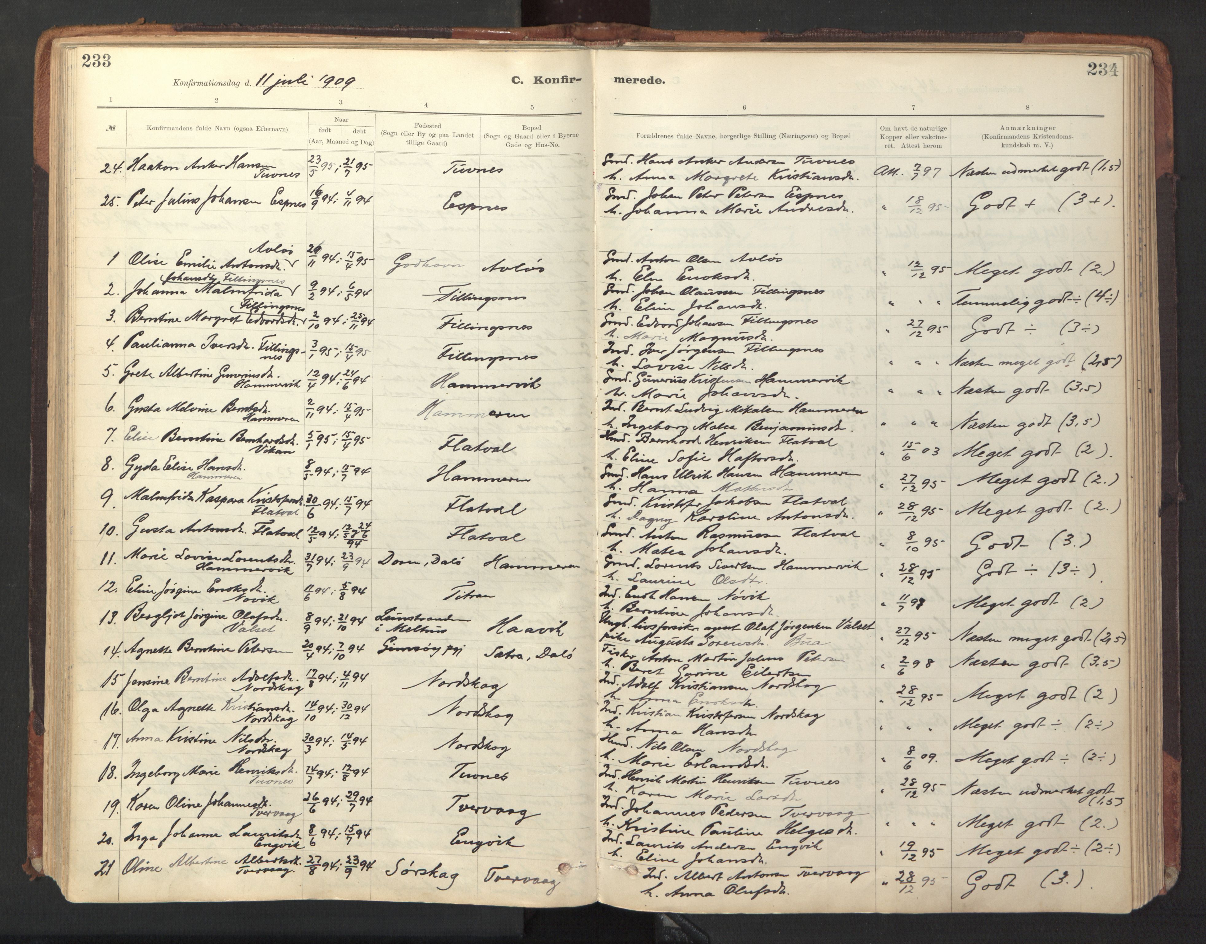 Ministerialprotokoller, klokkerbøker og fødselsregistre - Sør-Trøndelag, SAT/A-1456/641/L0596: Parish register (official) no. 641A02, 1898-1915, p. 233-234