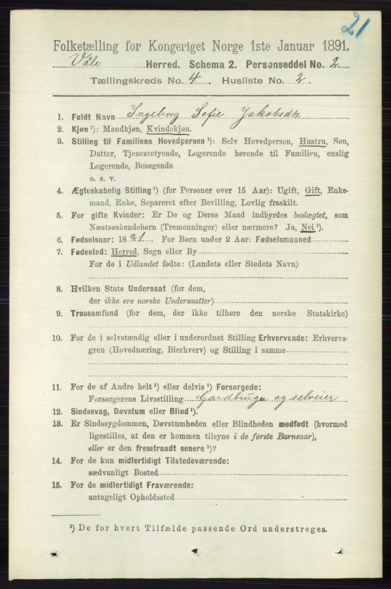 RA, 1891 census for 0716 Våle, 1891, p. 993