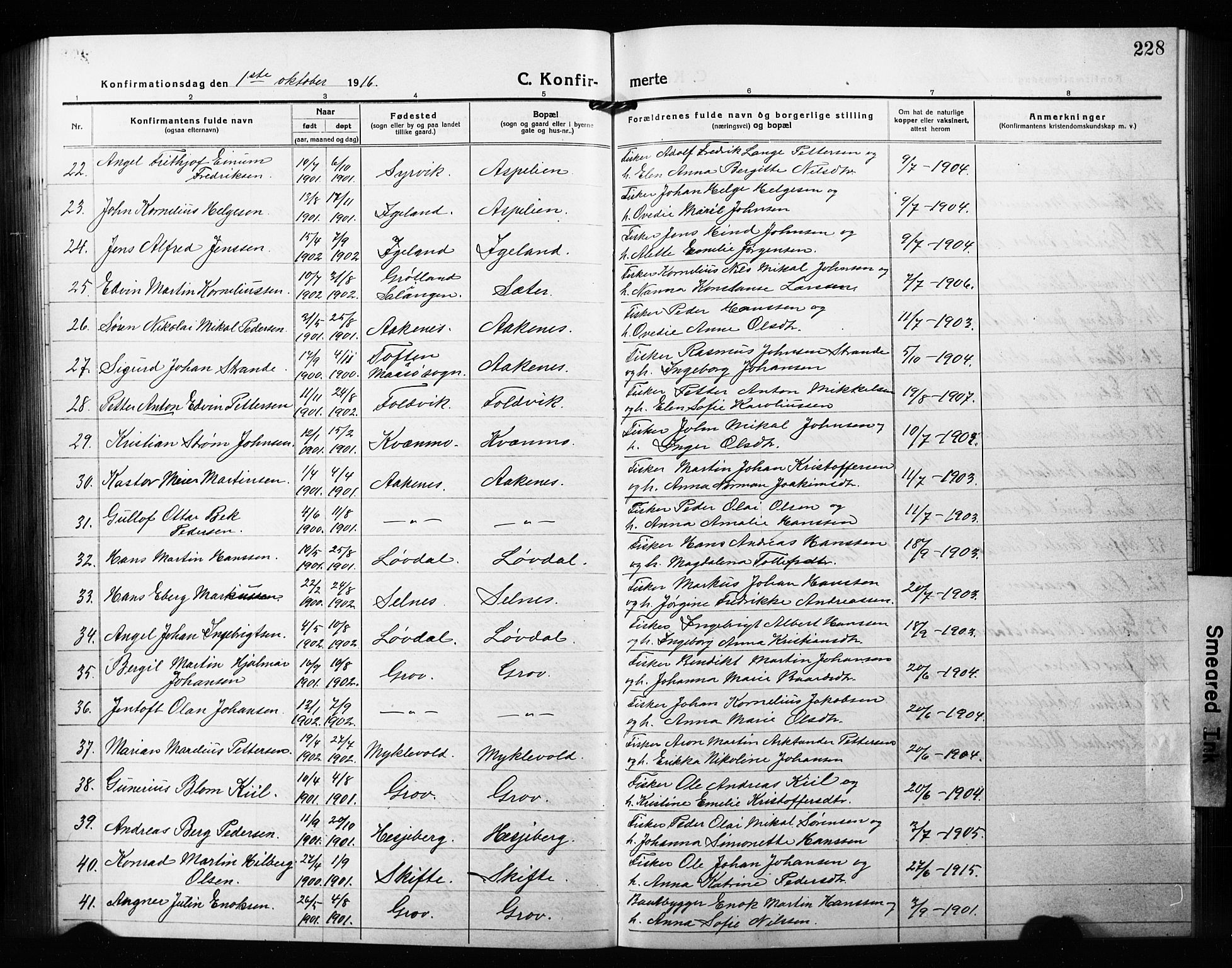Ibestad sokneprestembete, AV/SATØ-S-0077/H/Ha/Hab/L0010klokker: Parish register (copy) no. 10, 1915-1929, p. 228