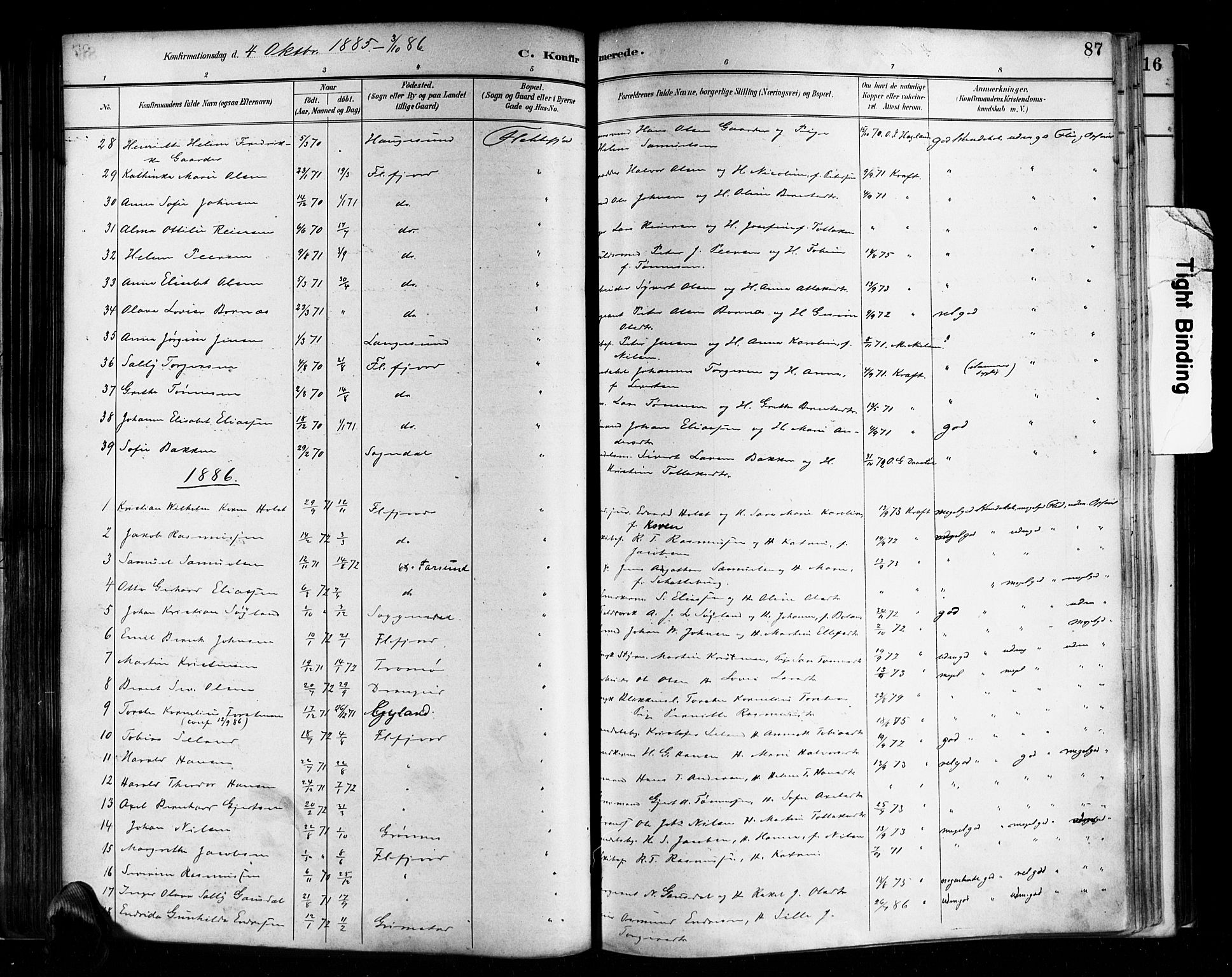 Flekkefjord sokneprestkontor, AV/SAK-1111-0012/F/Fa/Faa/L0001: Parish register (official) no. A 1, 1885-1900, p. 87