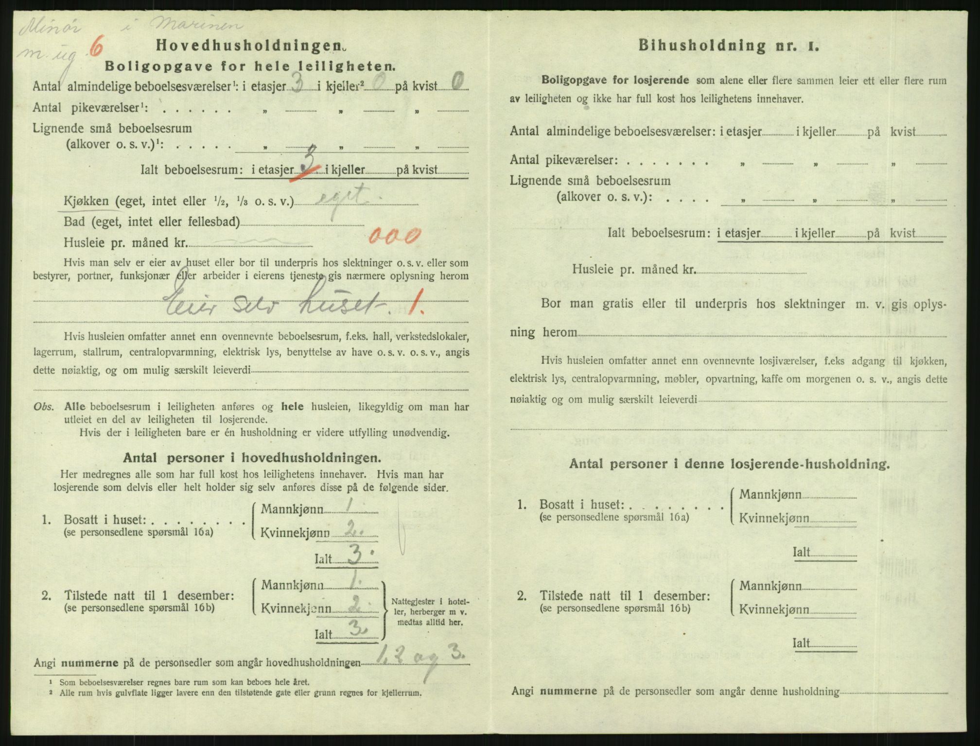 SAKO, 1920 census for Horten, 1920, p. 4206