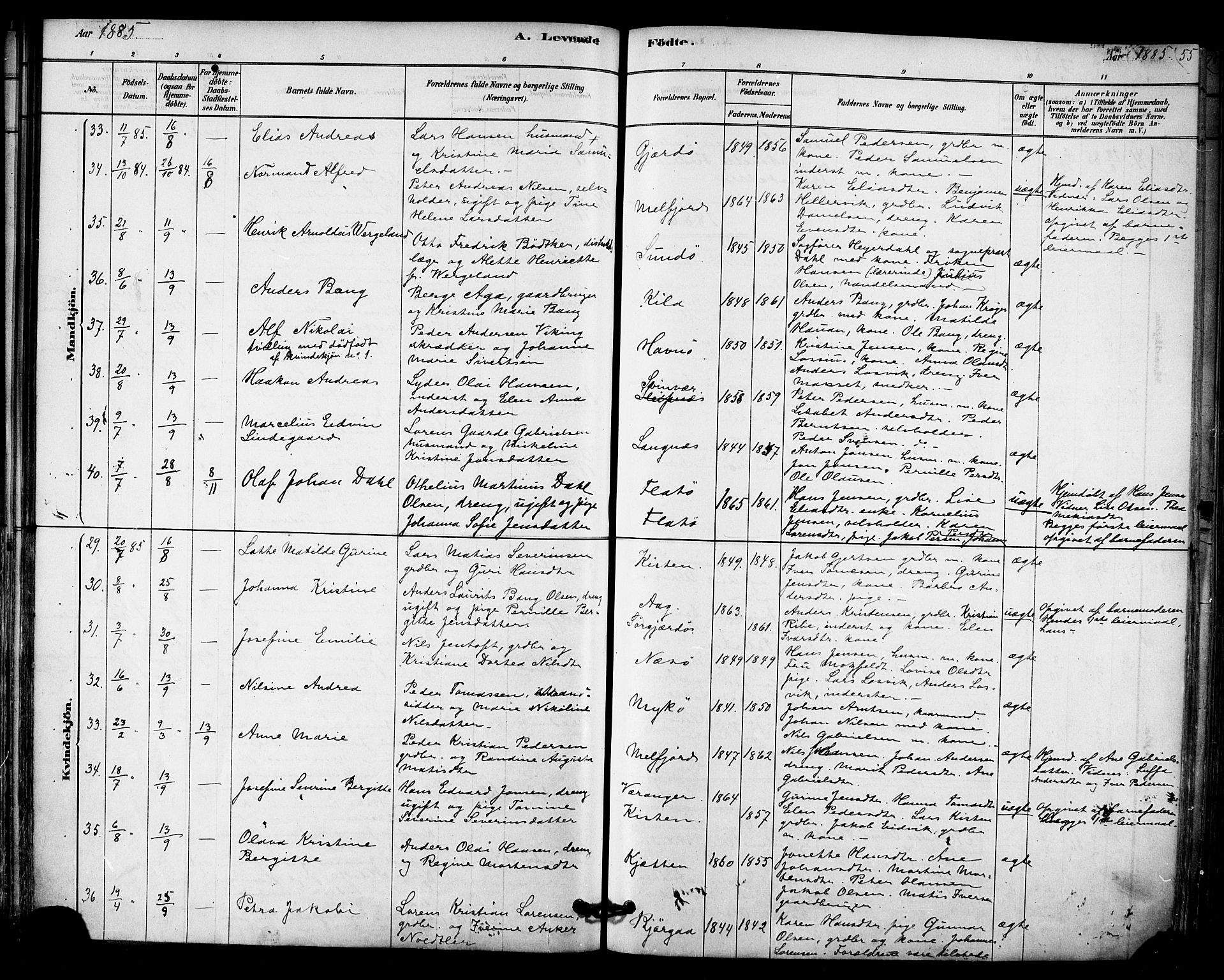 Ministerialprotokoller, klokkerbøker og fødselsregistre - Nordland, AV/SAT-A-1459/841/L0609: Parish register (official) no. 841A12, 1878-1901, p. 55