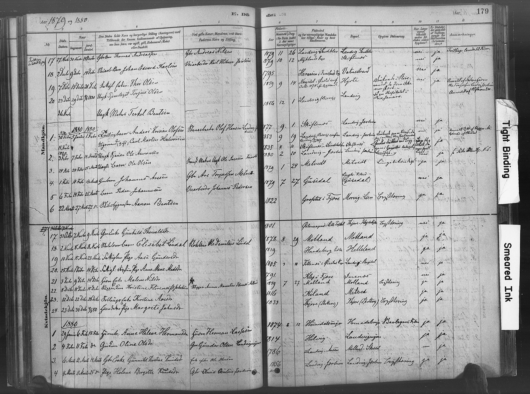 Hommedal sokneprestkontor, AV/SAK-1111-0023/F/Fa/Fab/L0006: Parish register (official) no. A 6, 1878-1897, p. 179