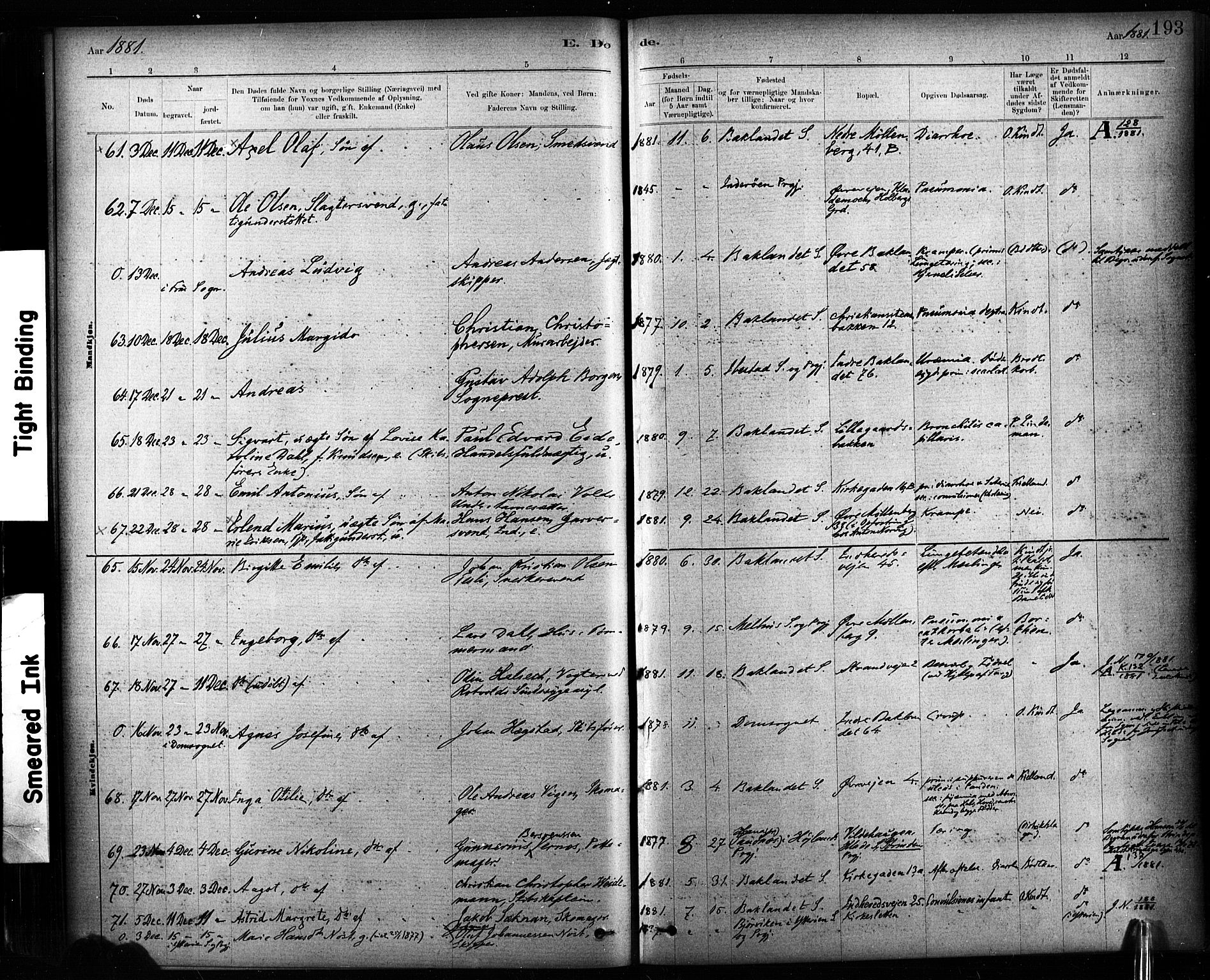 Ministerialprotokoller, klokkerbøker og fødselsregistre - Sør-Trøndelag, AV/SAT-A-1456/604/L0189: Parish register (official) no. 604A10, 1878-1892, p. 193