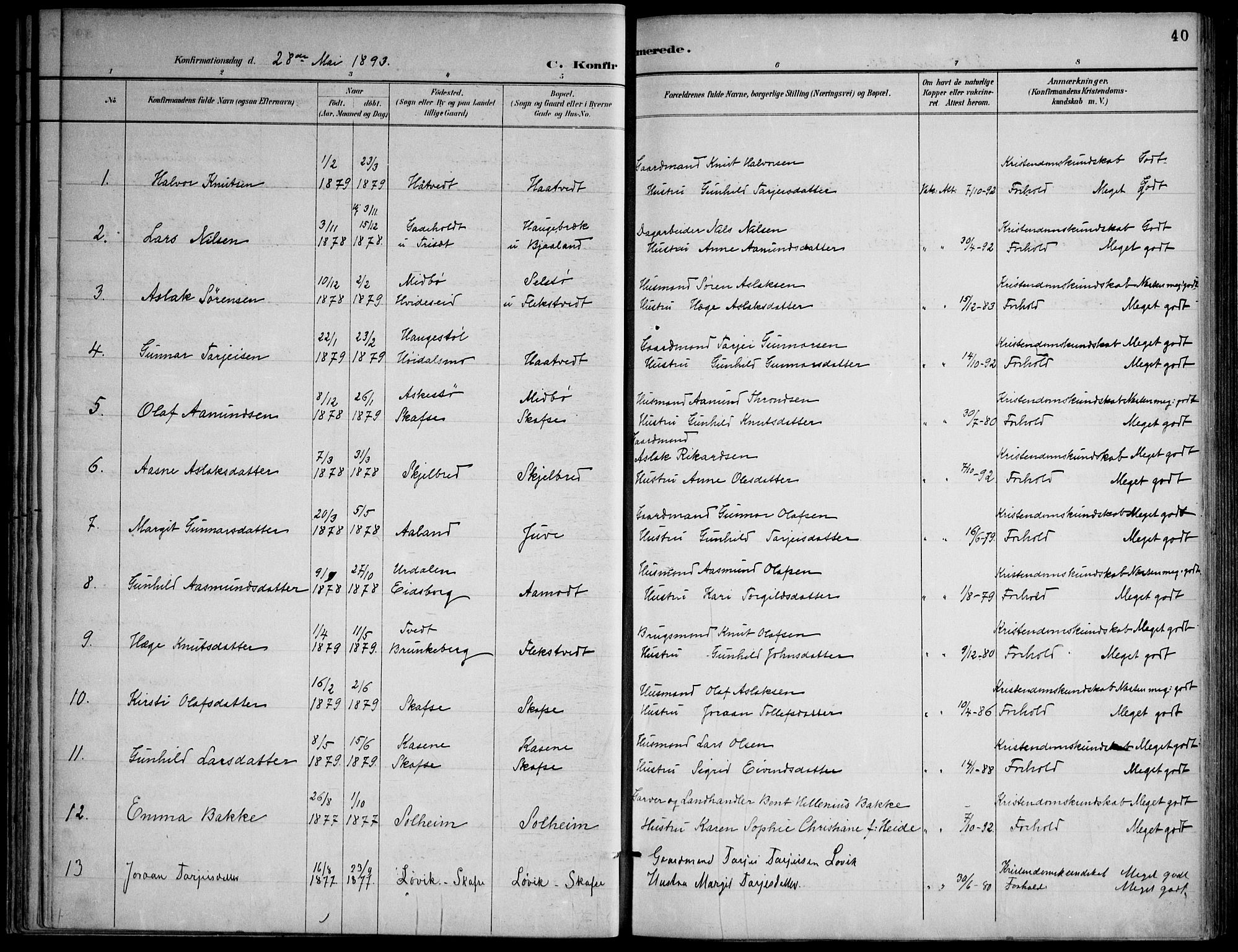 Lårdal kirkebøker, SAKO/A-284/F/Fa/L0007: Parish register (official) no. I 7, 1887-1906, p. 40