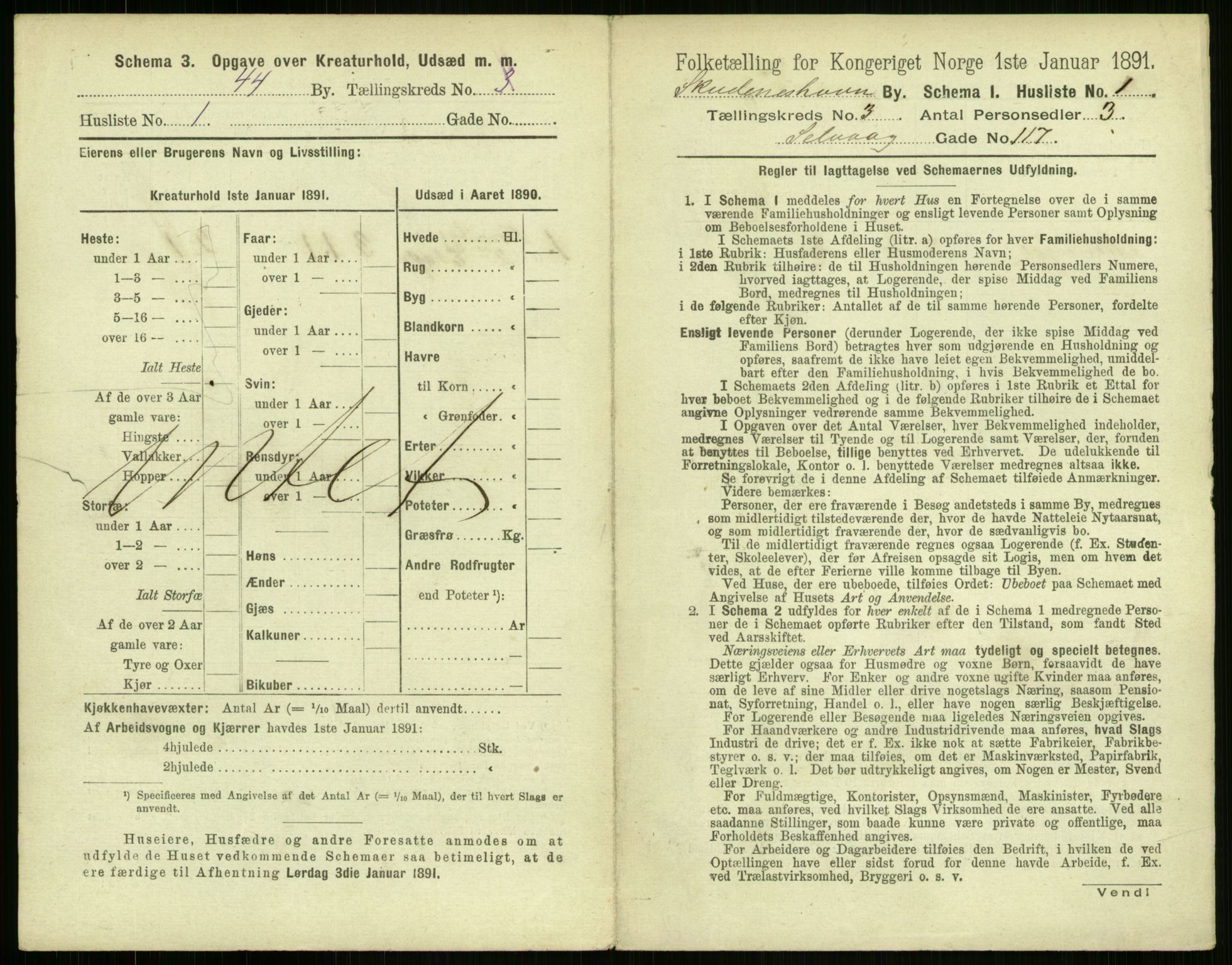 RA, 1891 census for 1104 Skudeneshavn, 1891, p. 192