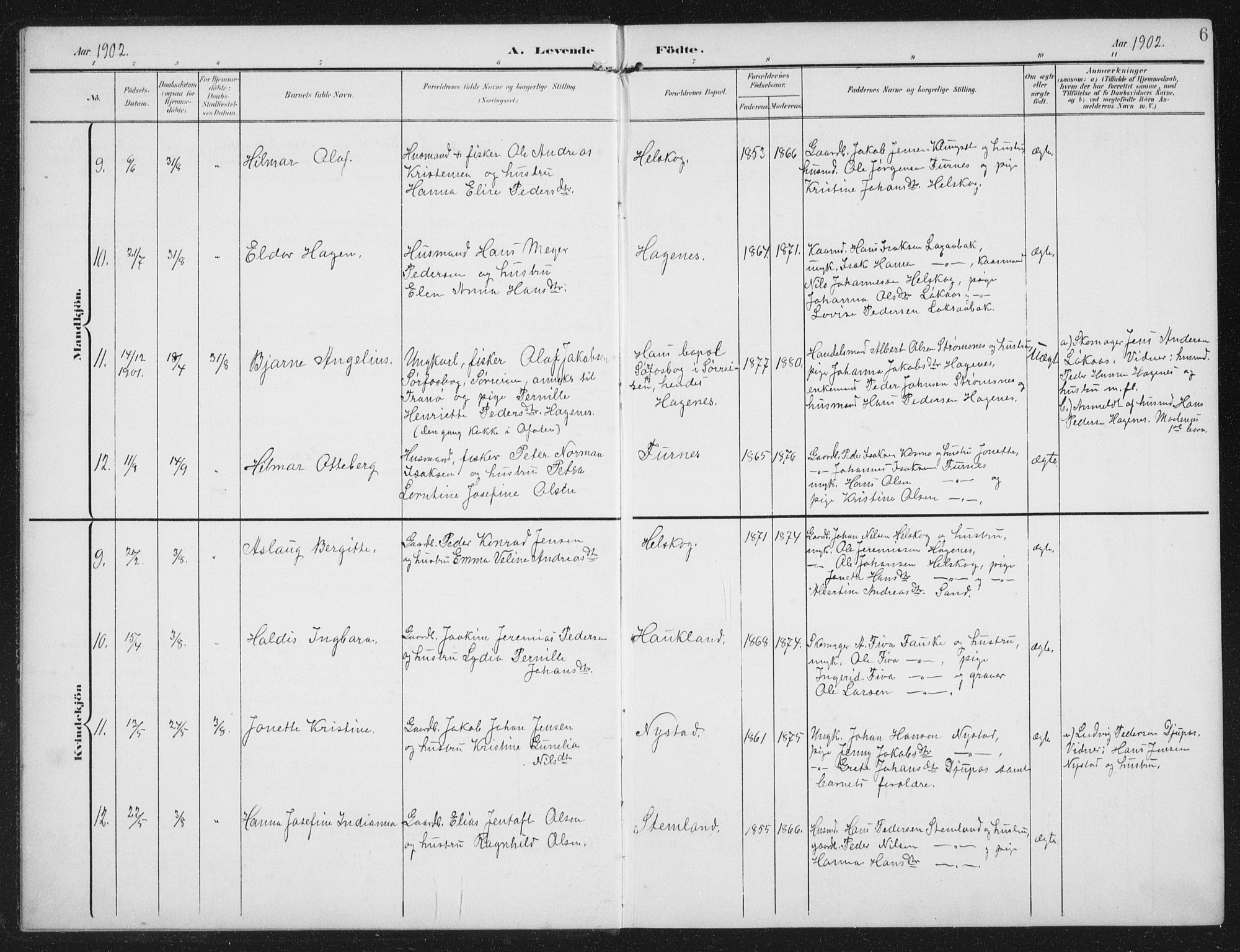 Ministerialprotokoller, klokkerbøker og fødselsregistre - Nordland, AV/SAT-A-1459/851/L0726: Parish register (copy) no. 851C01, 1902-1924, p. 6