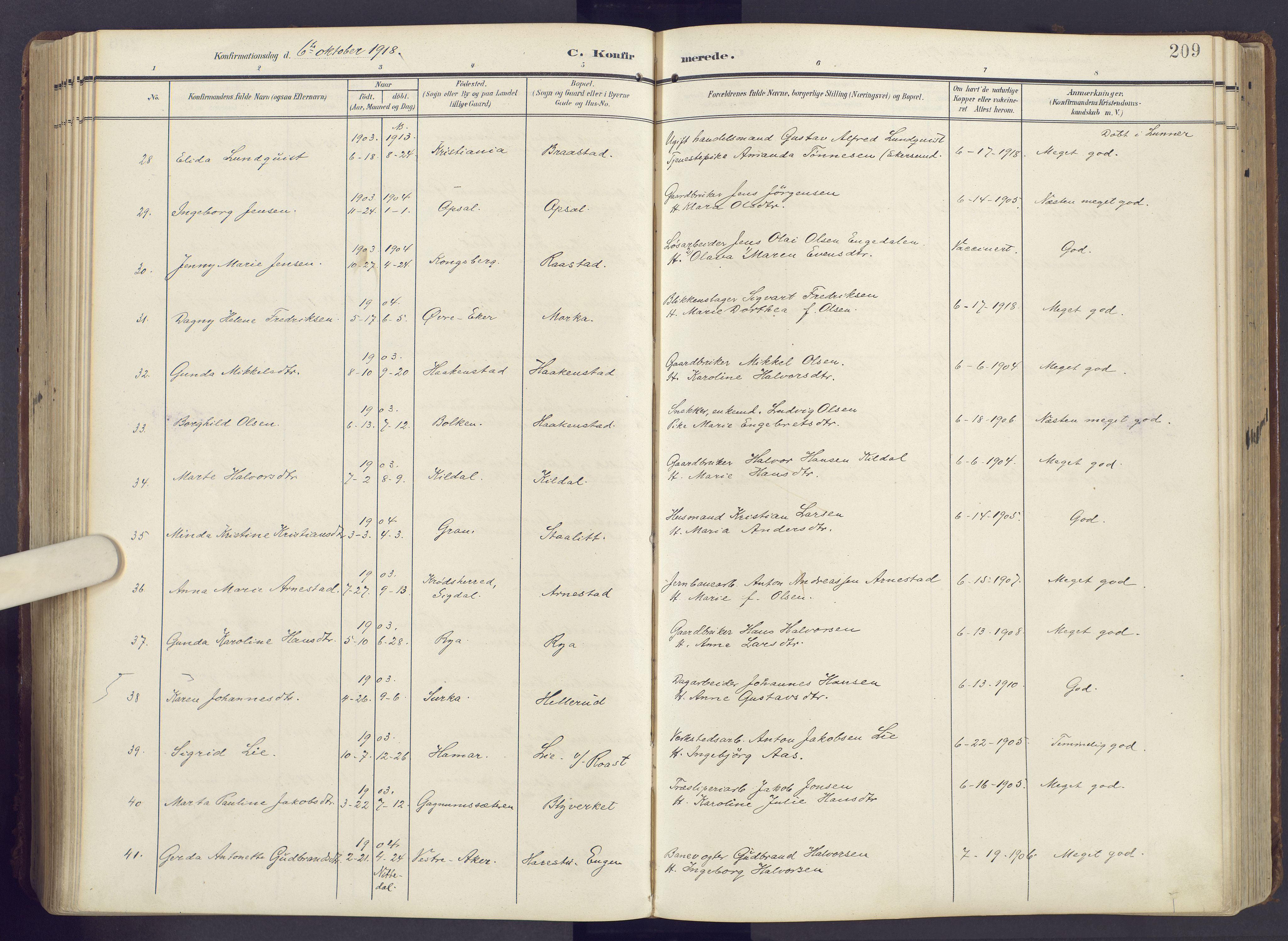 Lunner prestekontor, AV/SAH-PREST-118/H/Ha/Haa/L0001: Parish register (official) no. 1, 1907-1922, p. 209