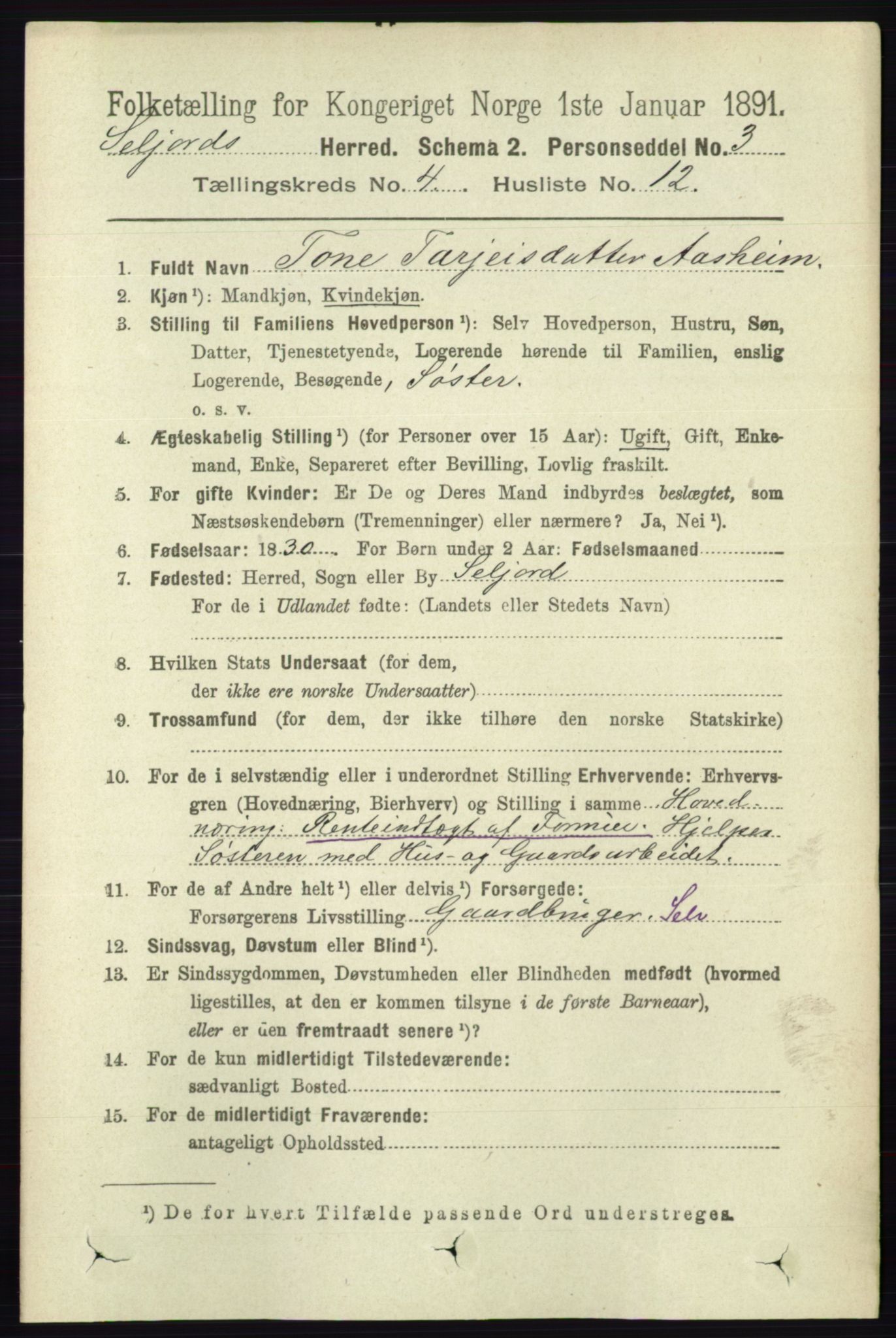 RA, 1891 census for 0828 Seljord, 1891, p. 1354